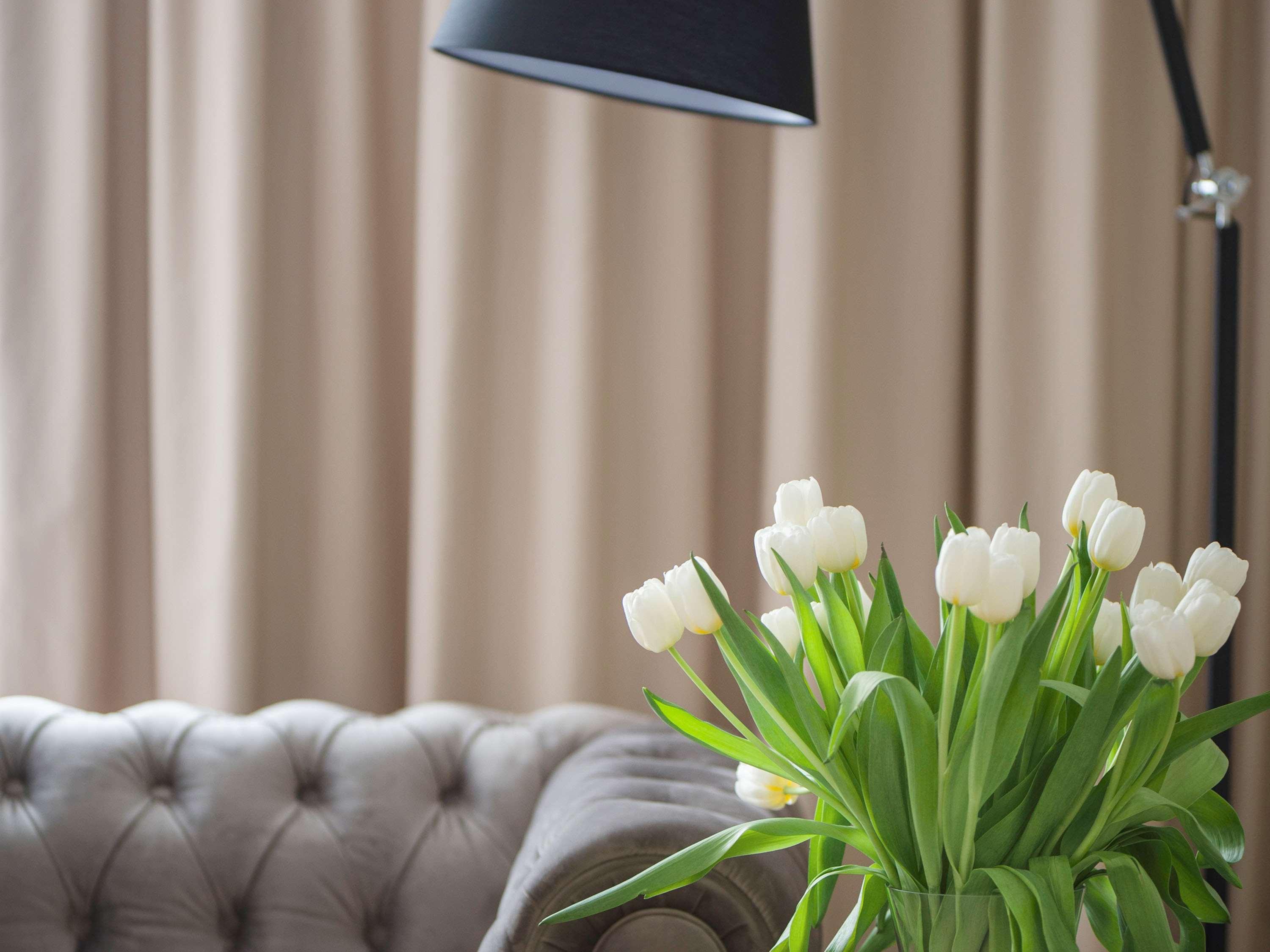 Suite with Double Bed