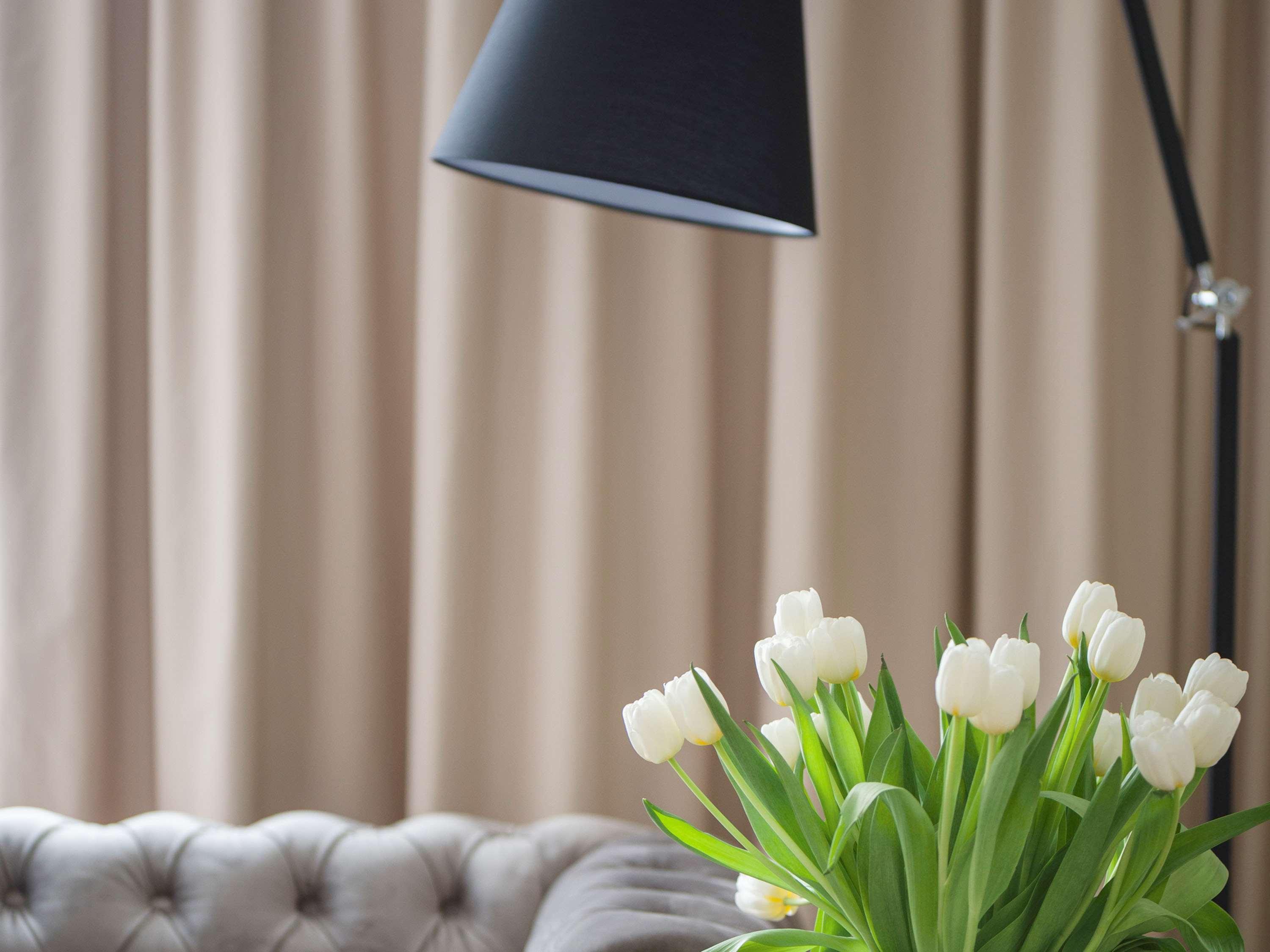 Suite with Double Bed