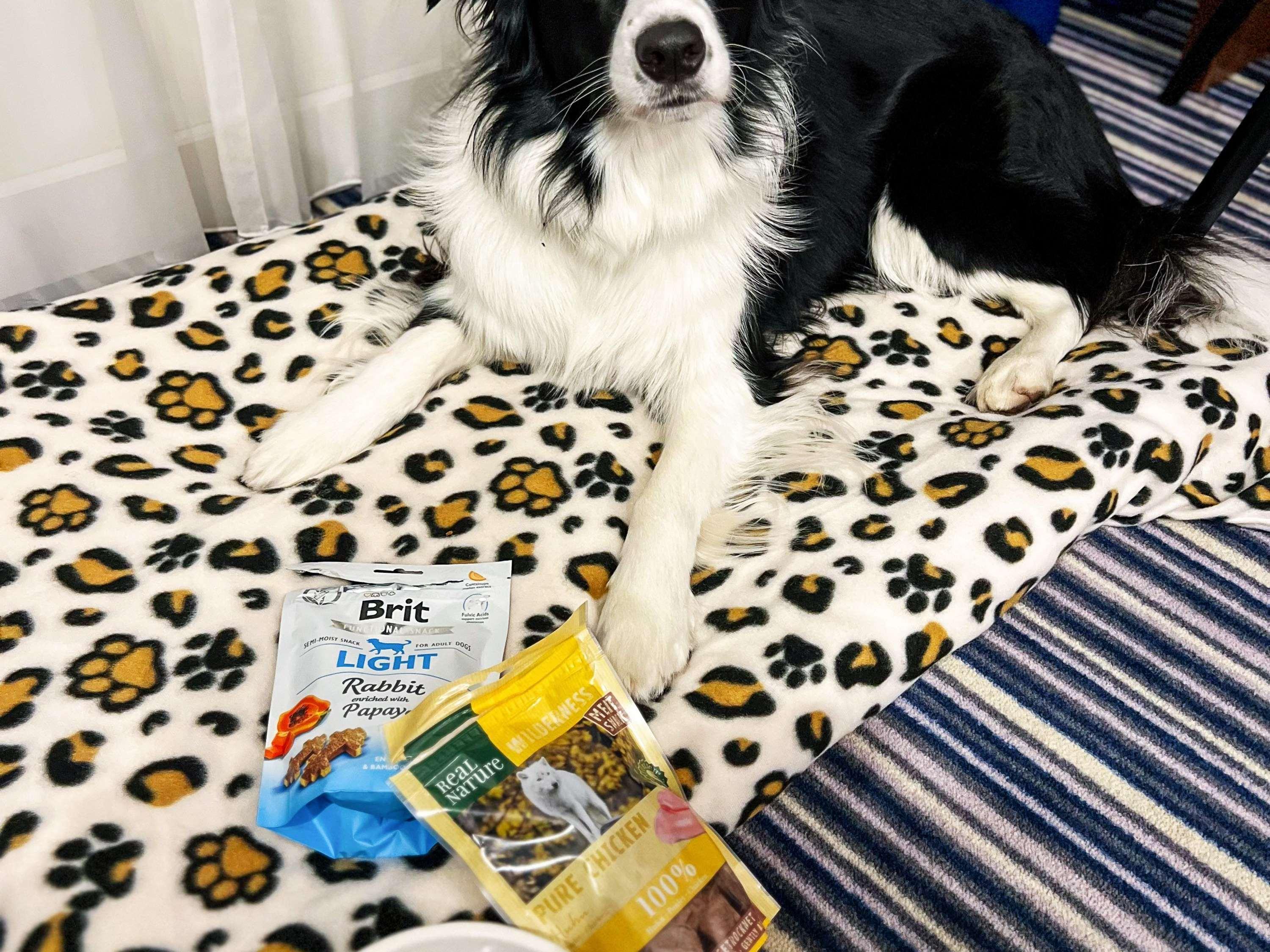 Studio Connecting Room