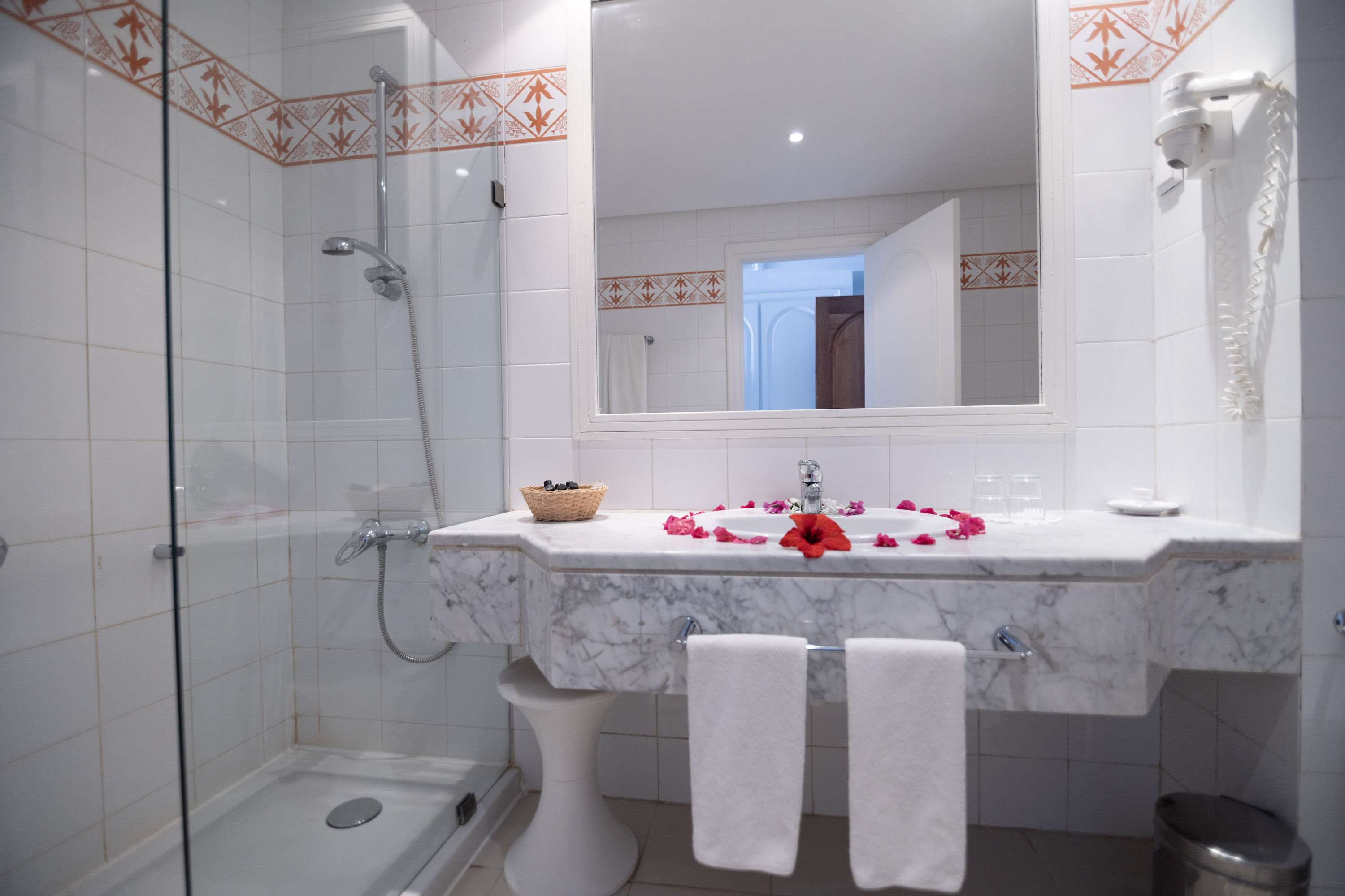 Double or Twin Standard