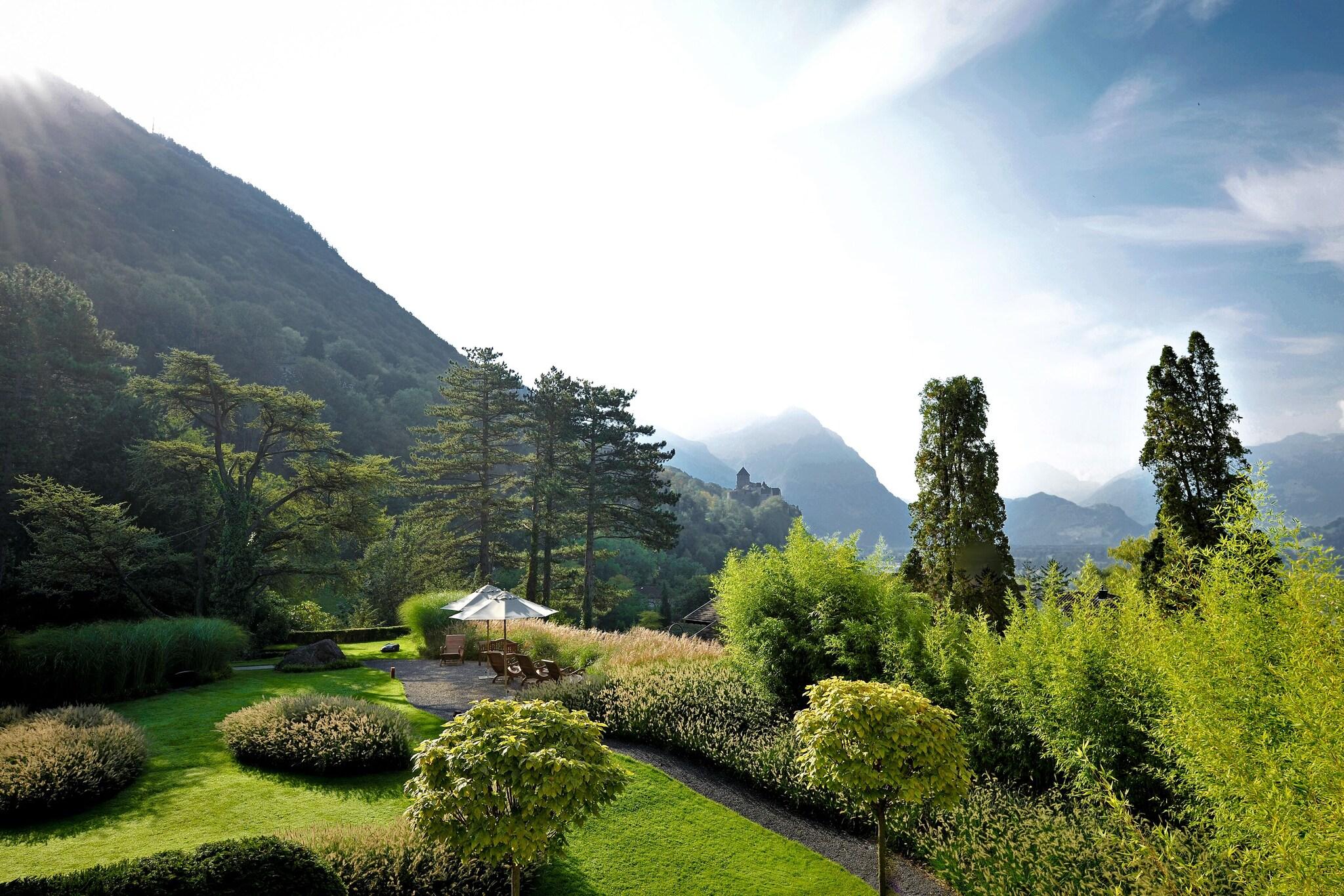 Studio Mountain View