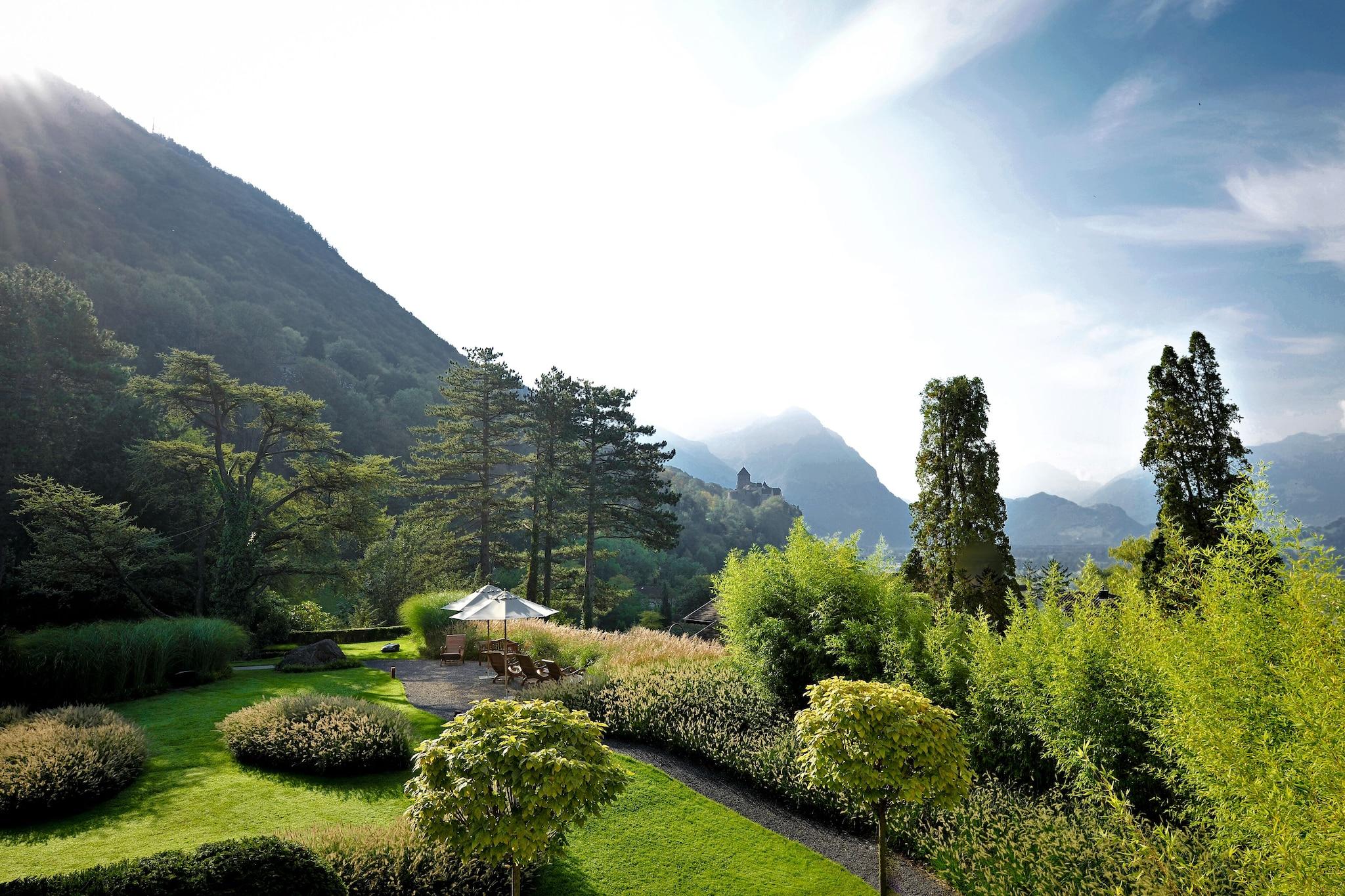 Studio Mountain View