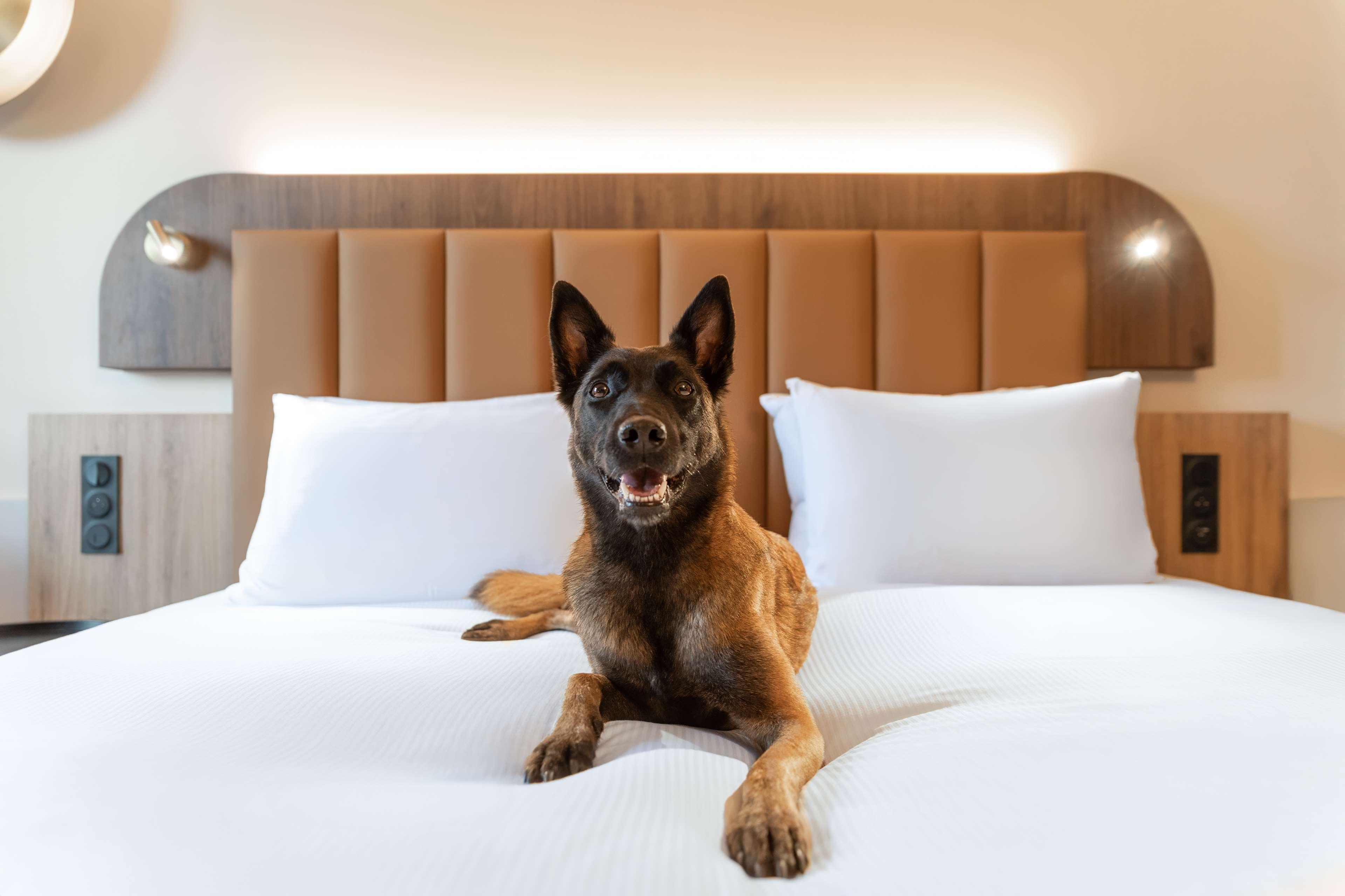 Double Deluxe Lake View