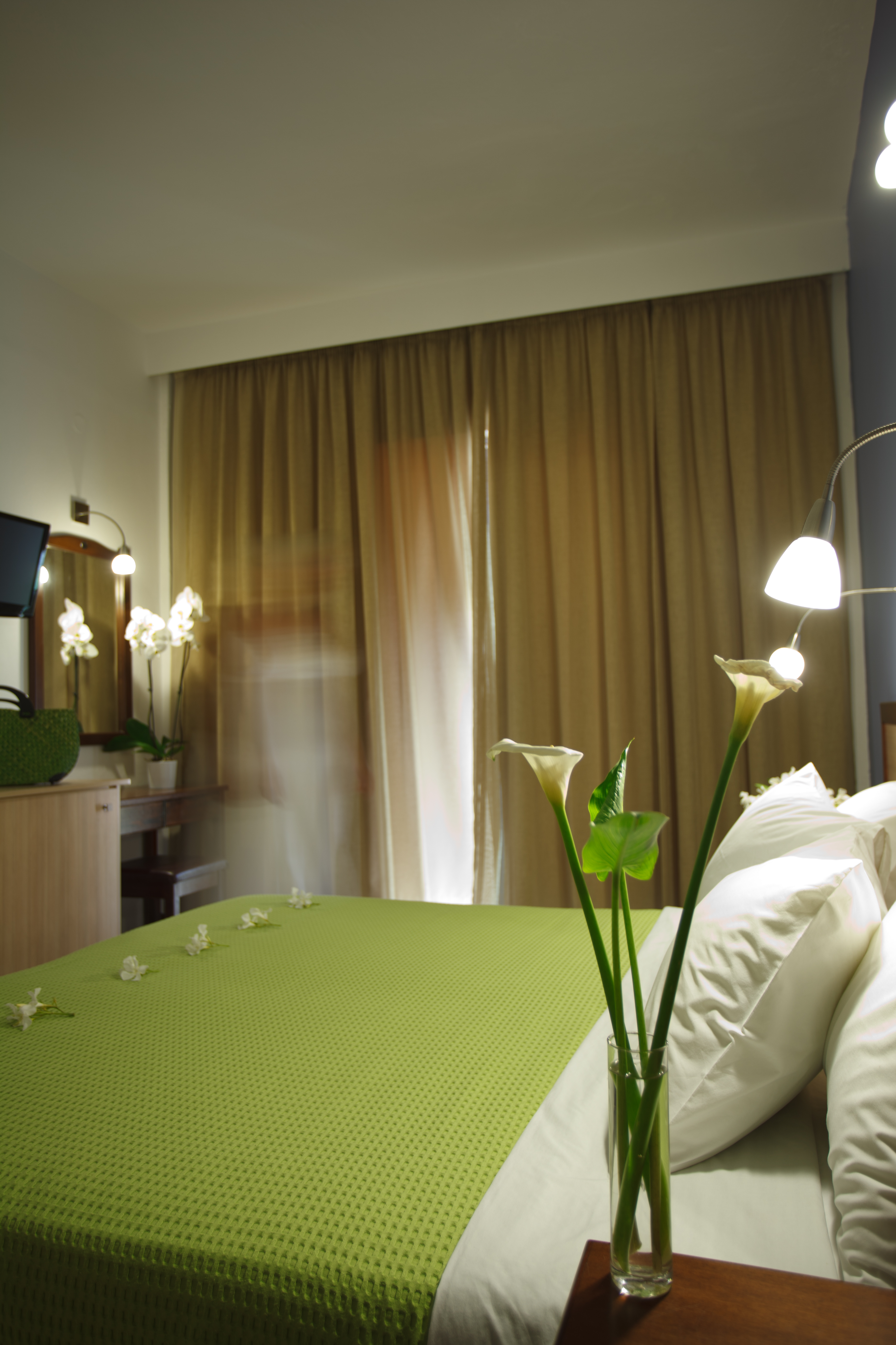 Double or Twin Standard