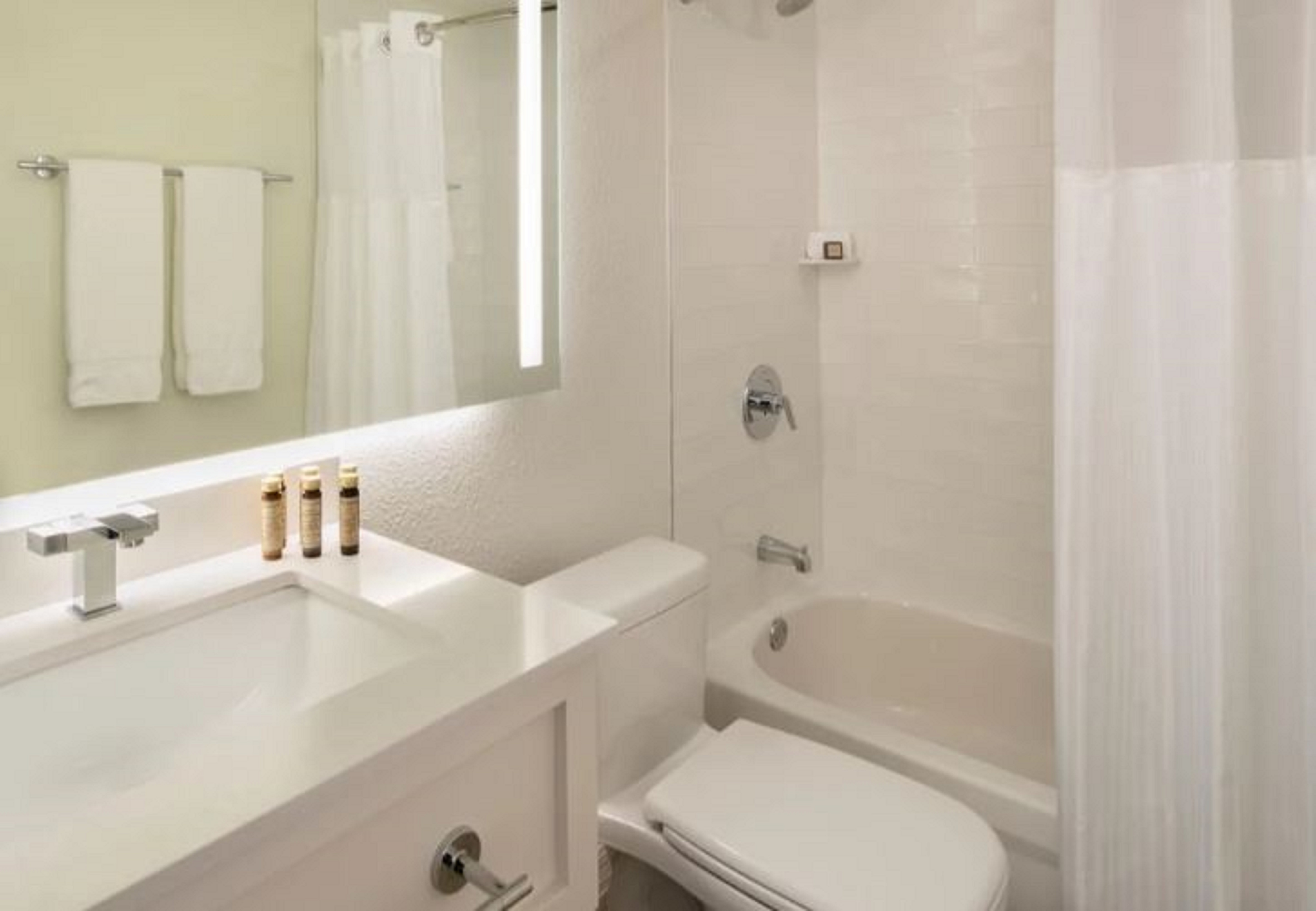 Studio Ocean View Two Queen Beds