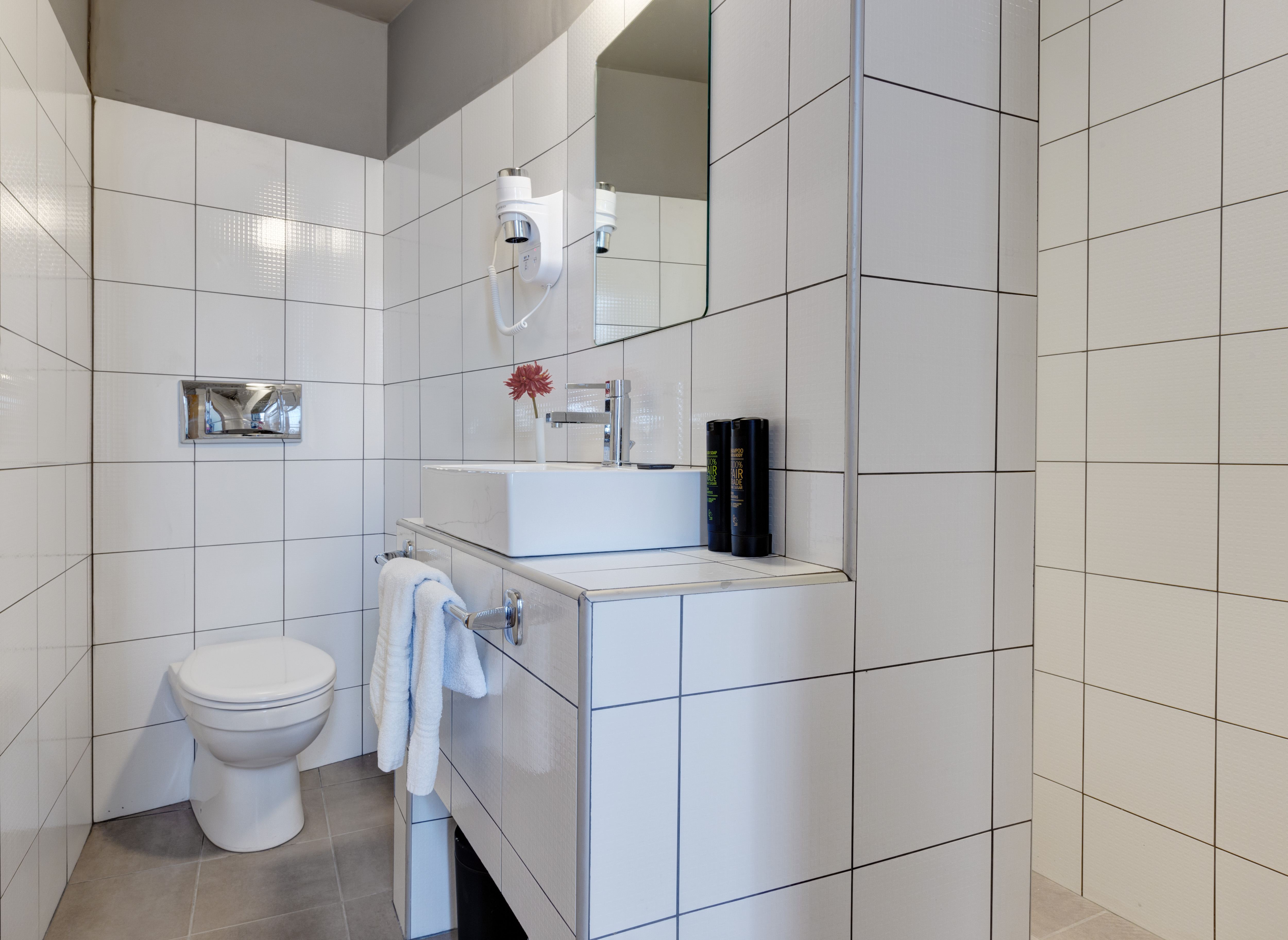 Double or Twin Executive