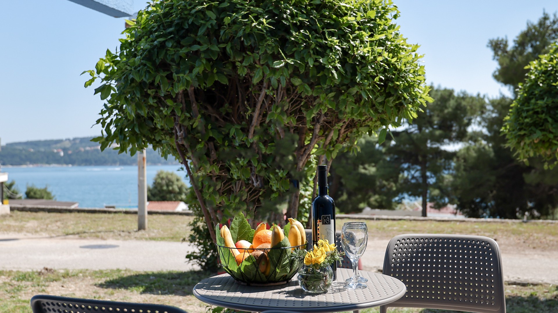 Apartment One Bedroom