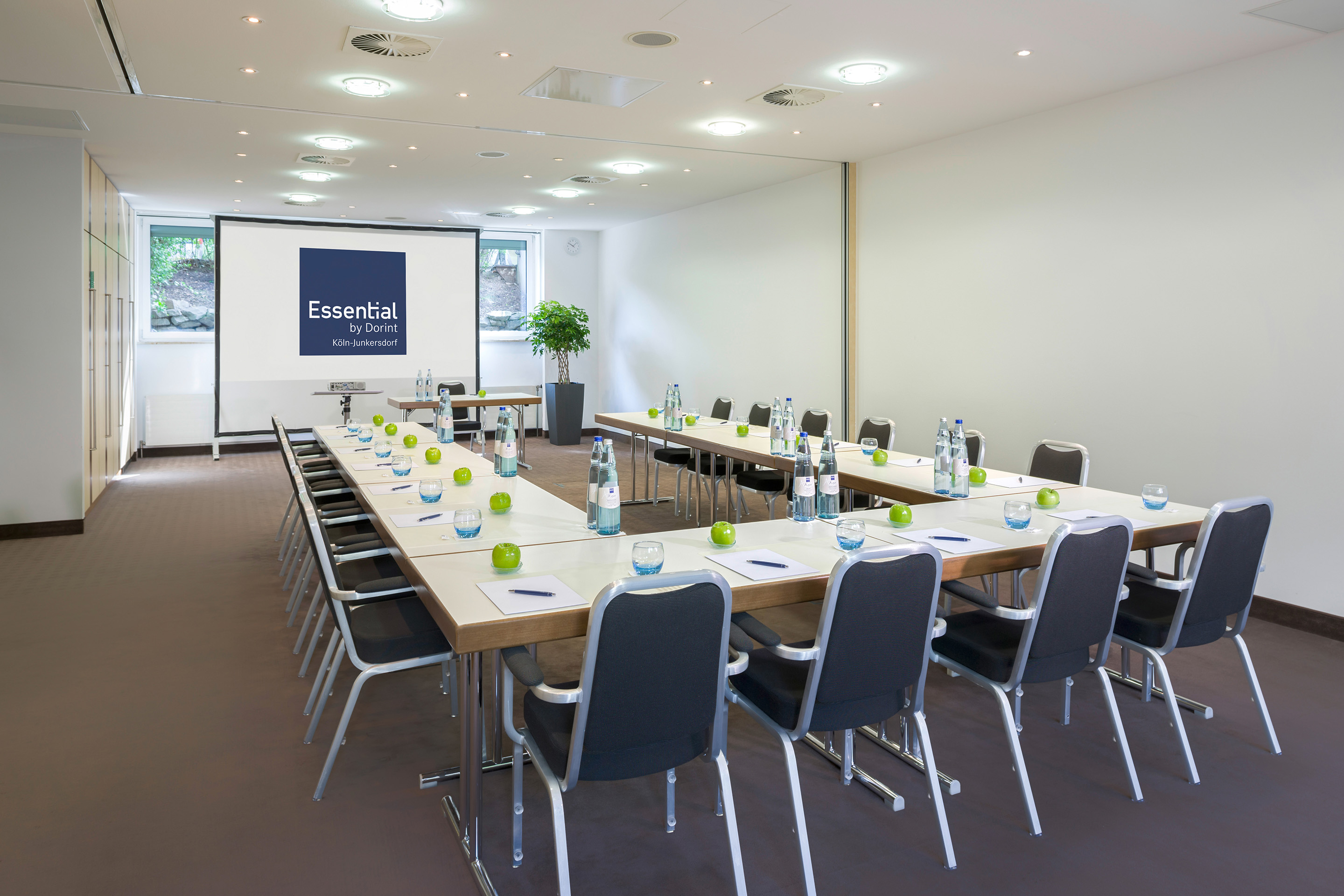 Conferences