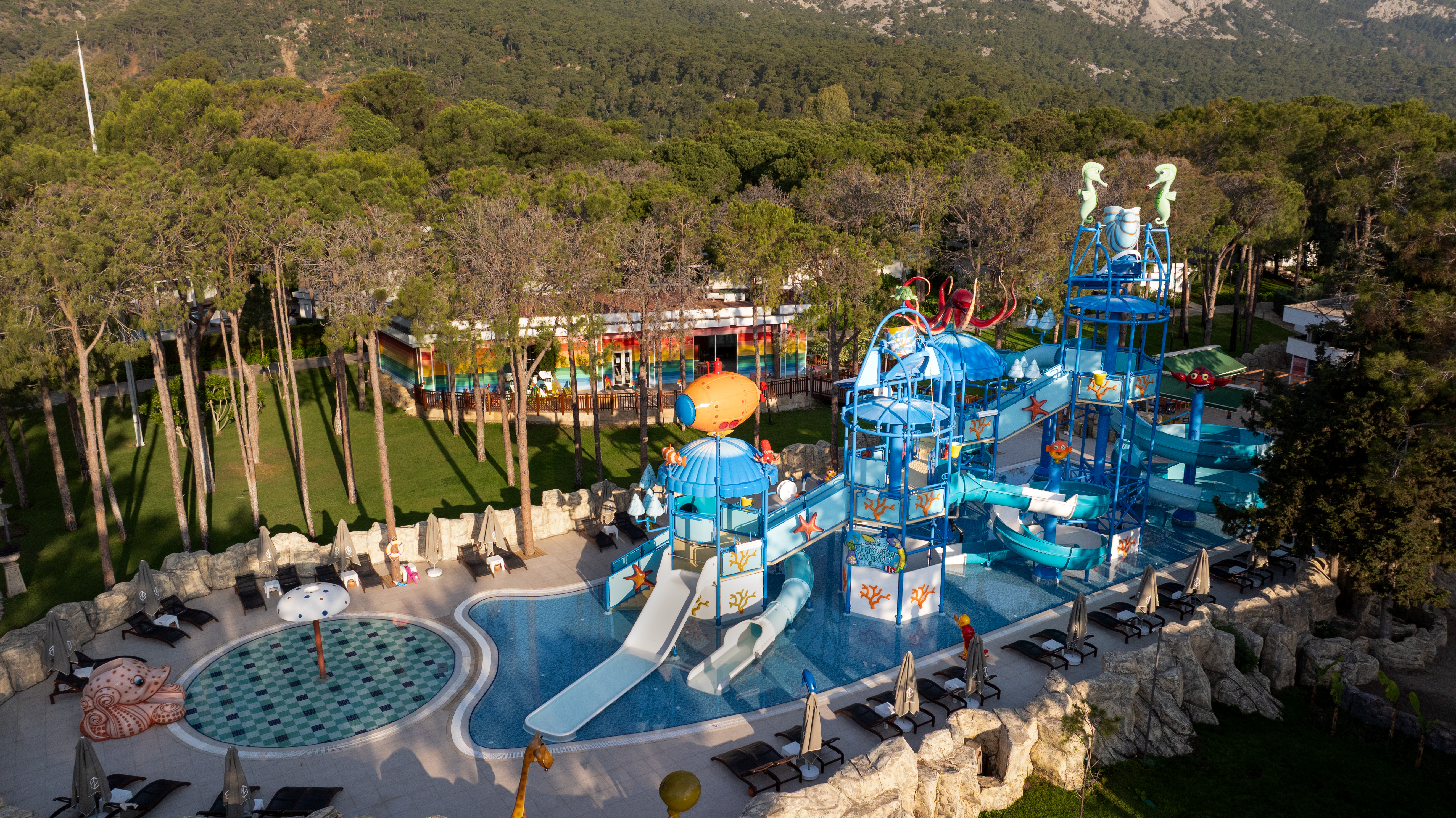 Sports and Entertainment