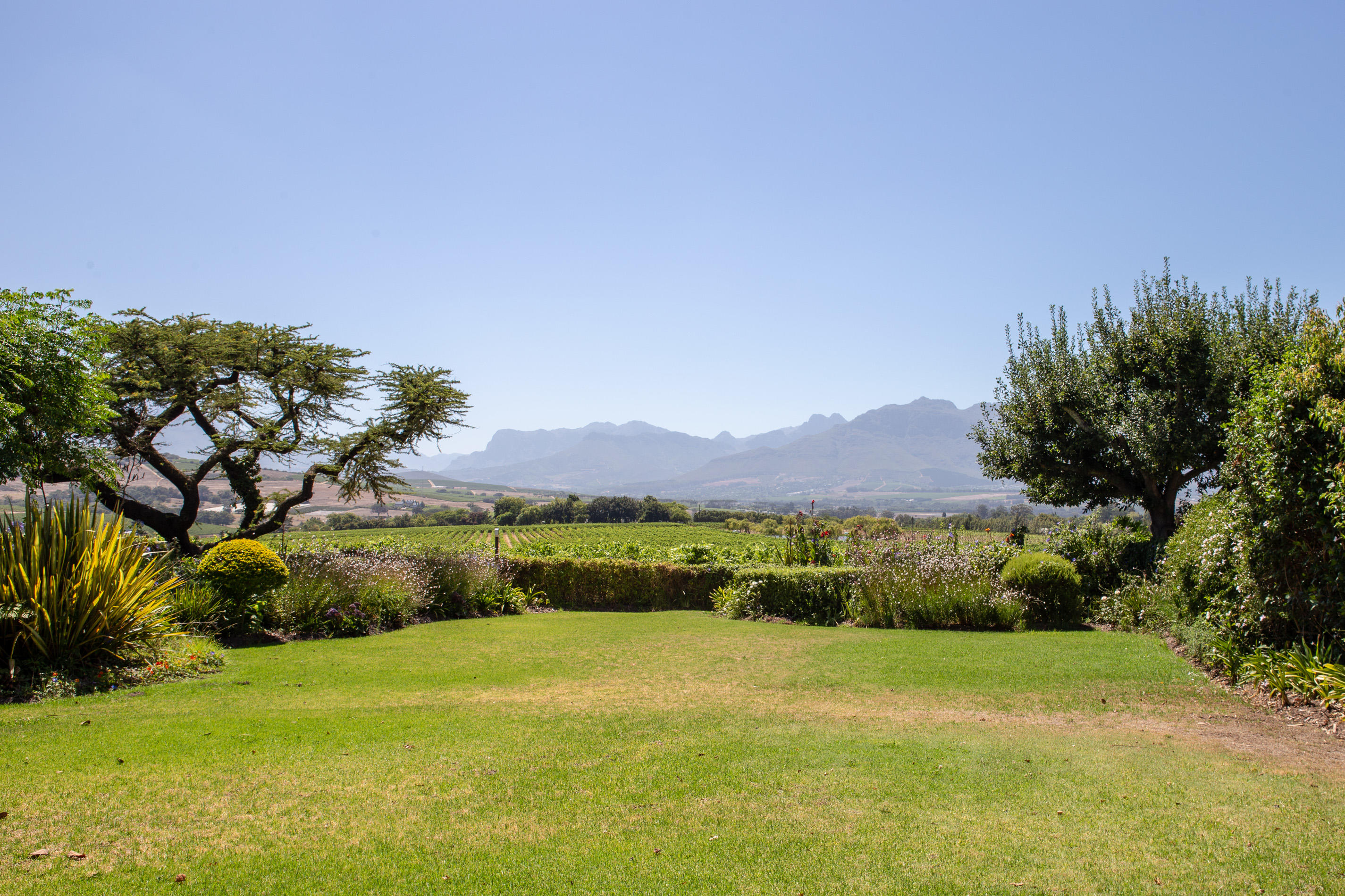 Family Room Garden View