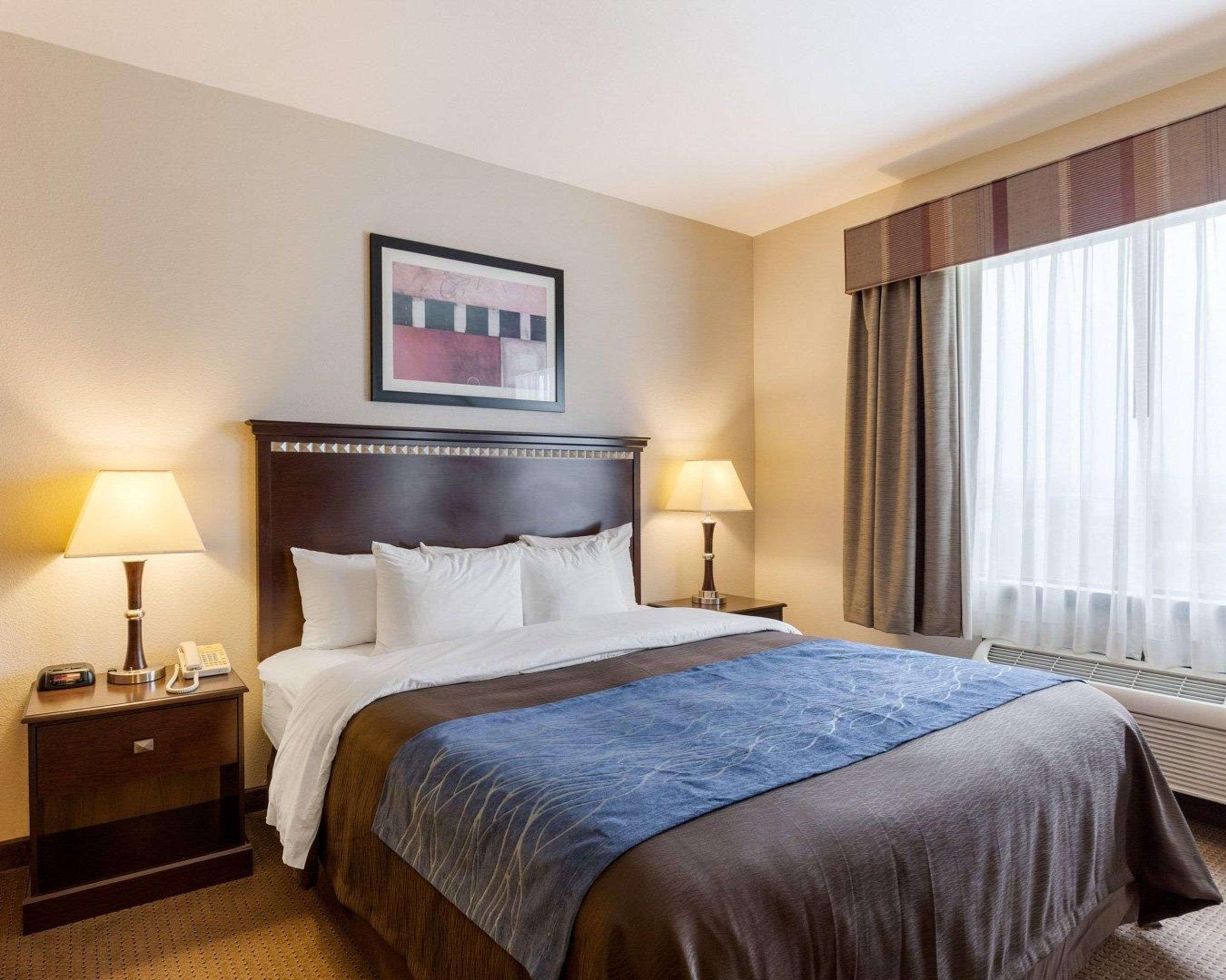 Suite Accessible King Size Bed