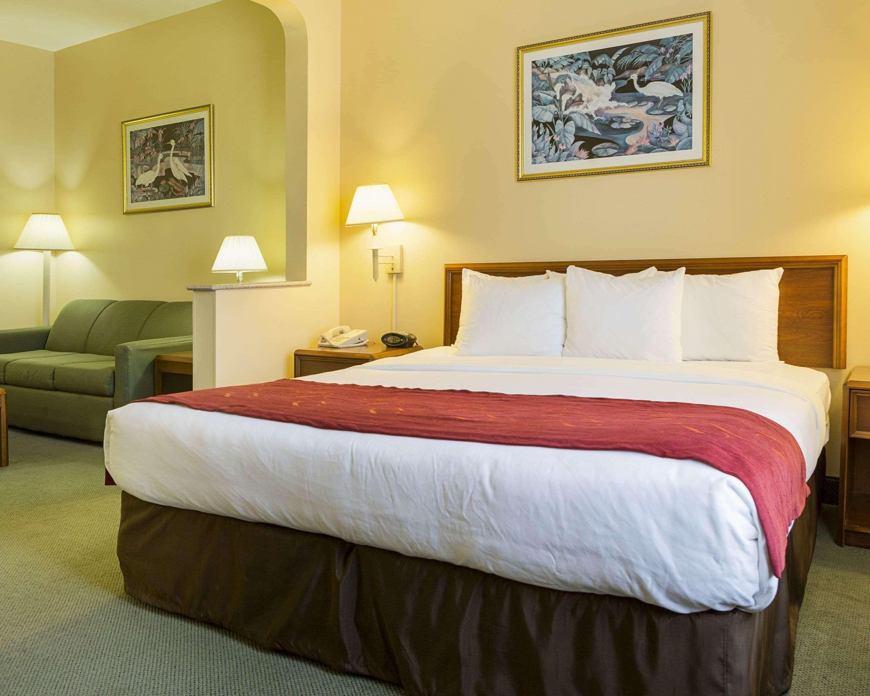 Suite King Bed Non Smoking