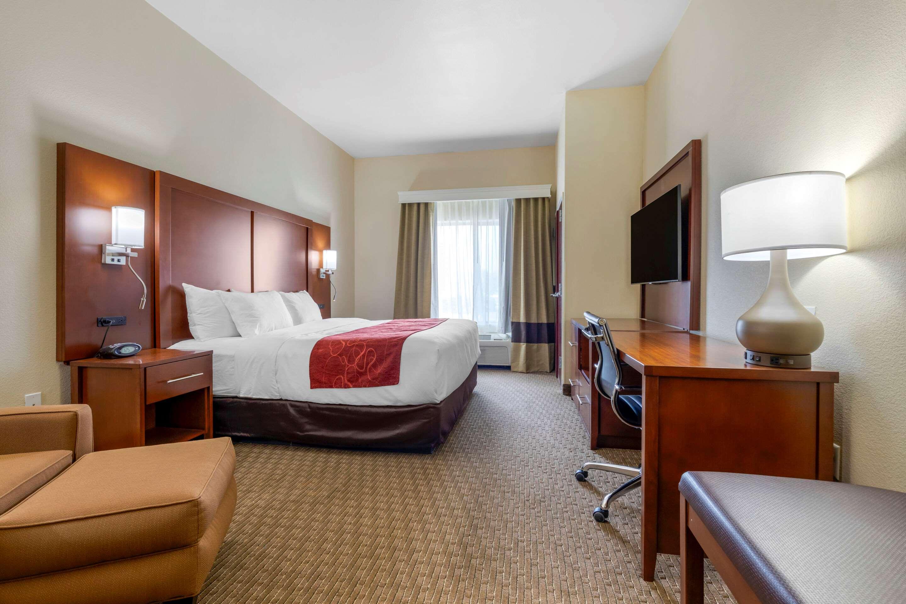 Suite King Bed Non Smoking