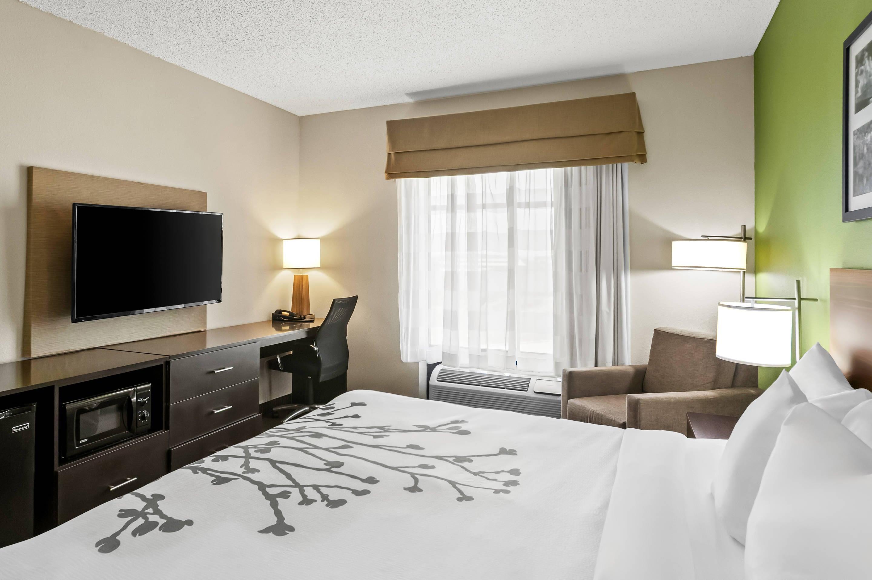 Double King Bed Non Smoking