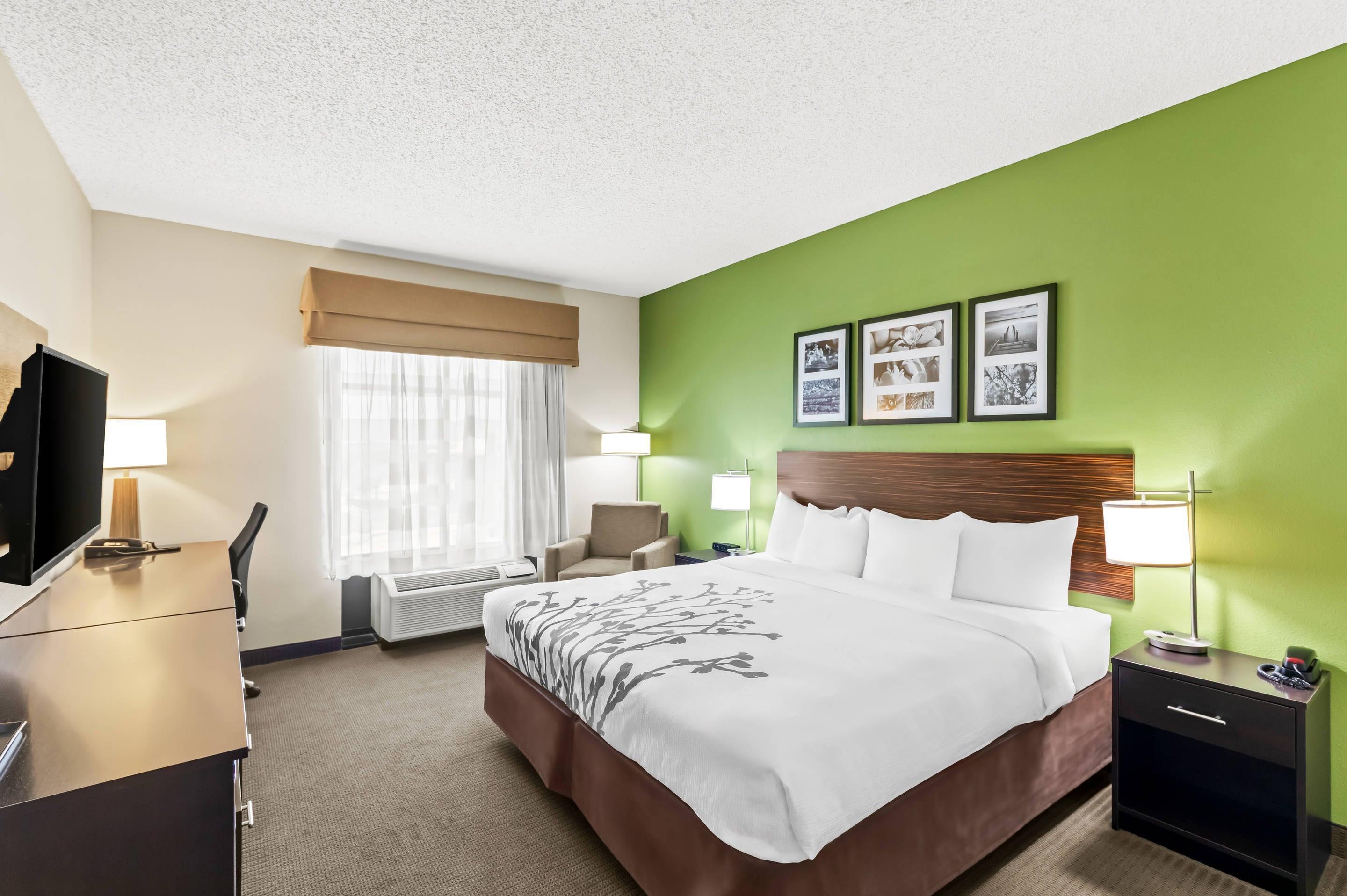 Double King Bed Non Smoking