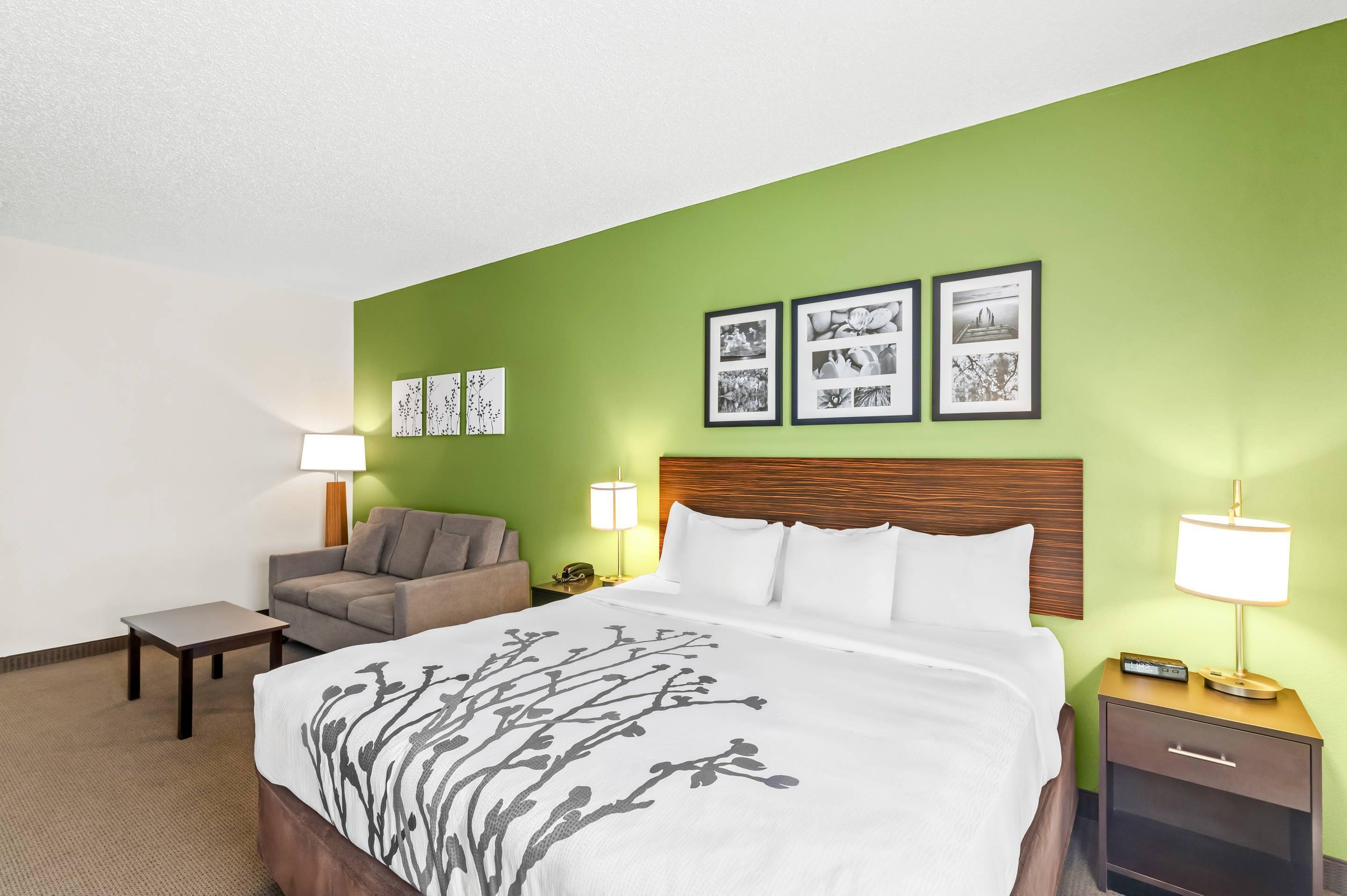 Suite King Bed Non Smoking