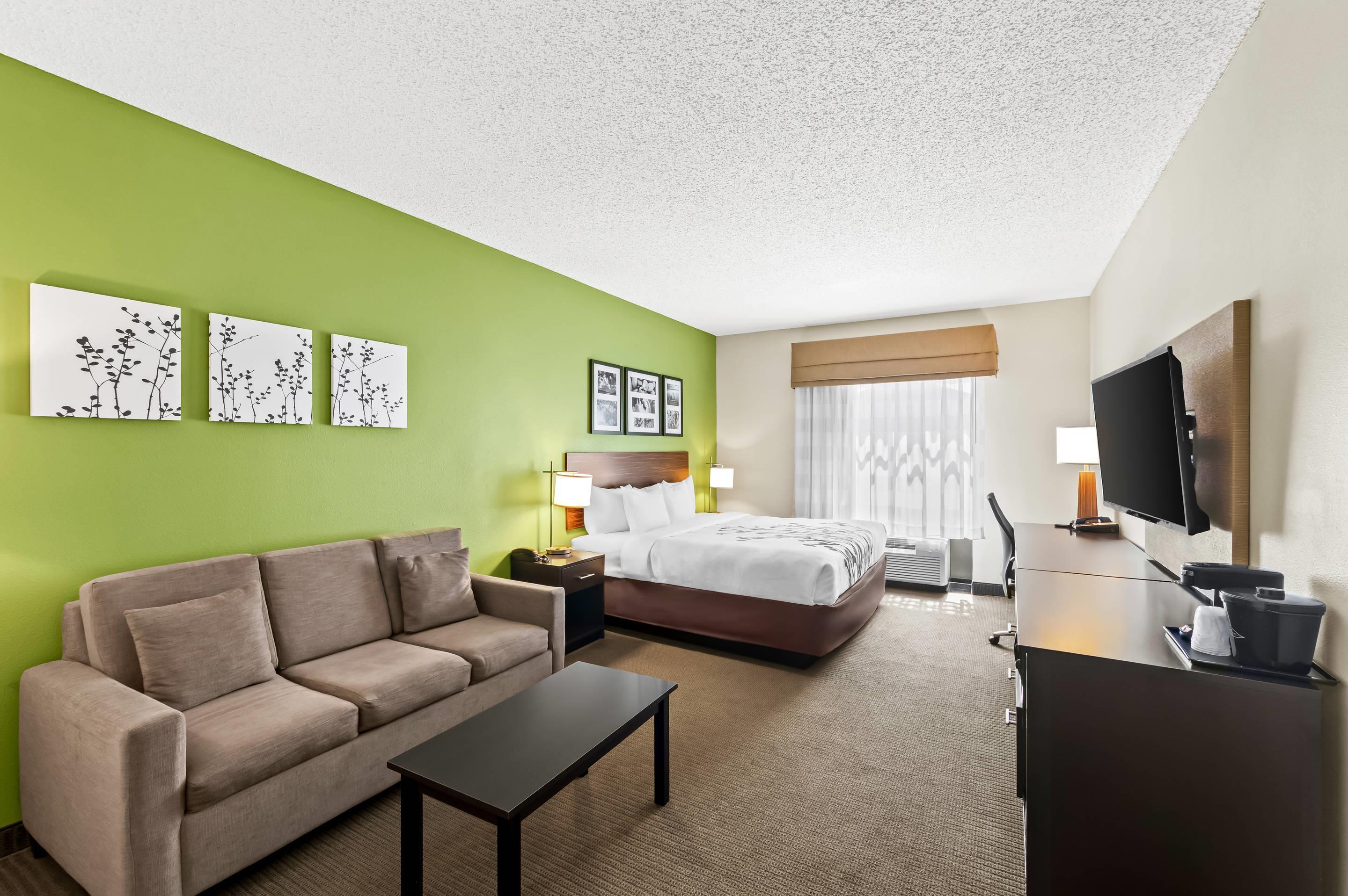 Suite King Bed Non Smoking