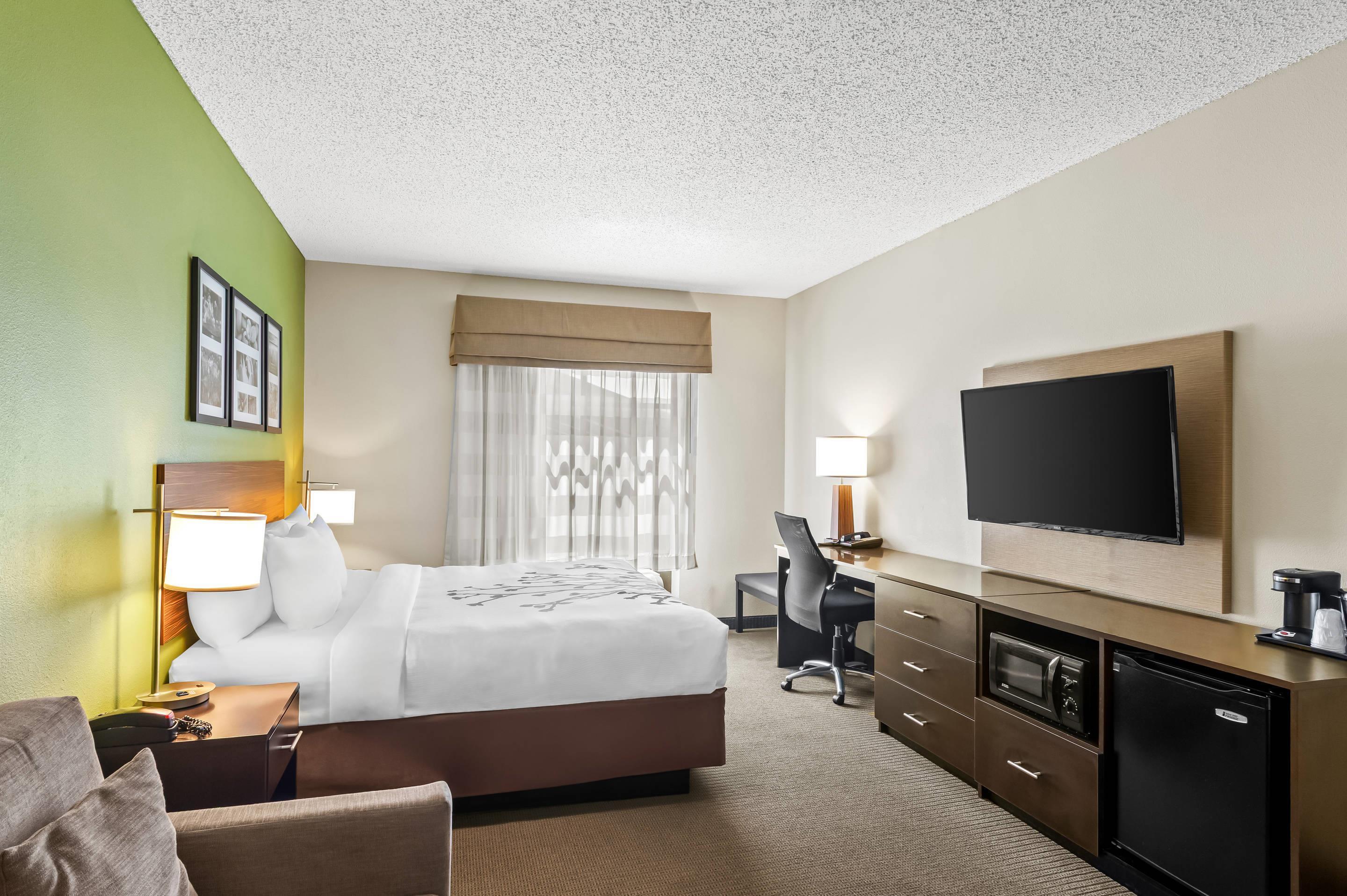 Suite King Bed Non Smoking