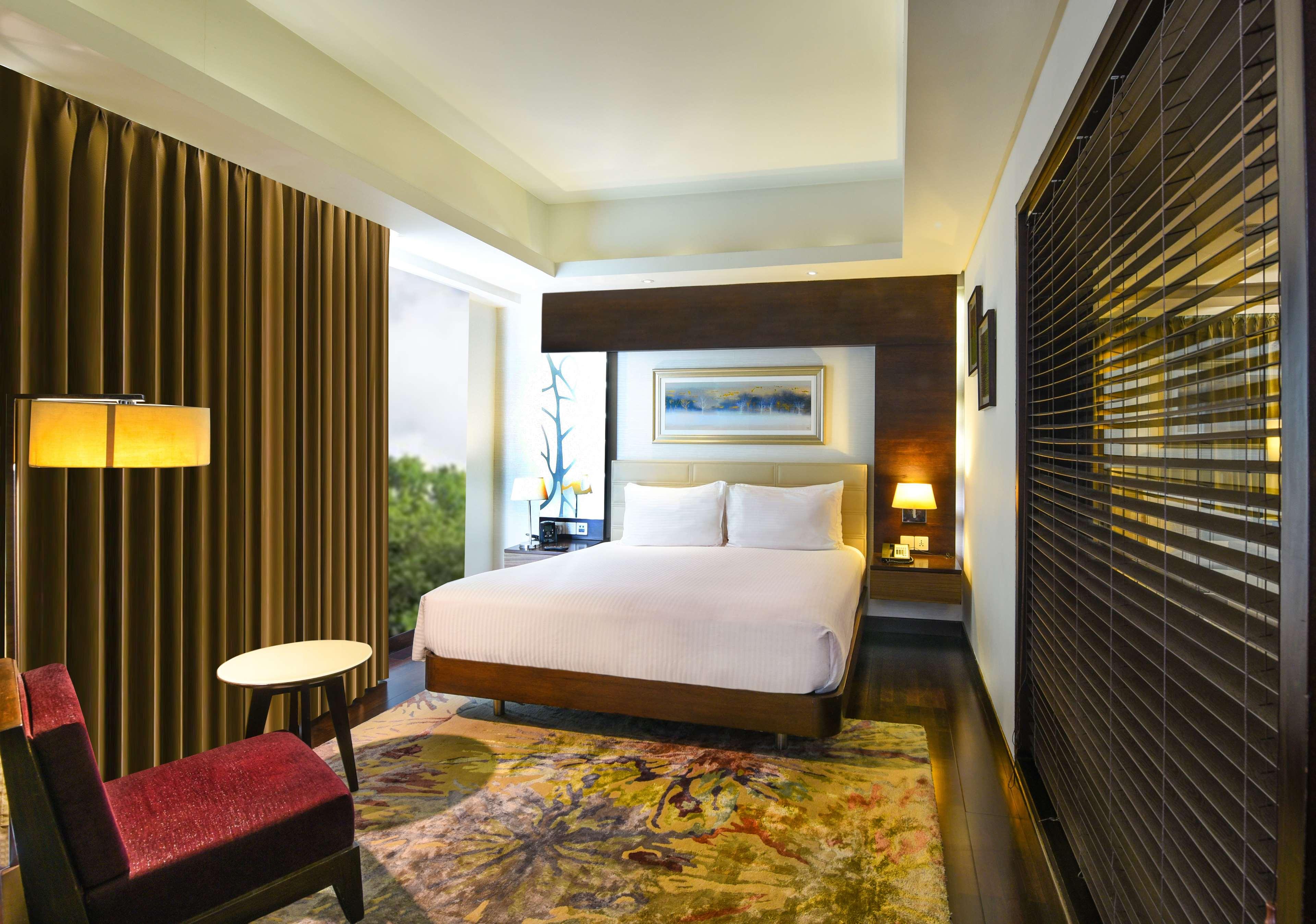 Suite King Bed One Bedroom 