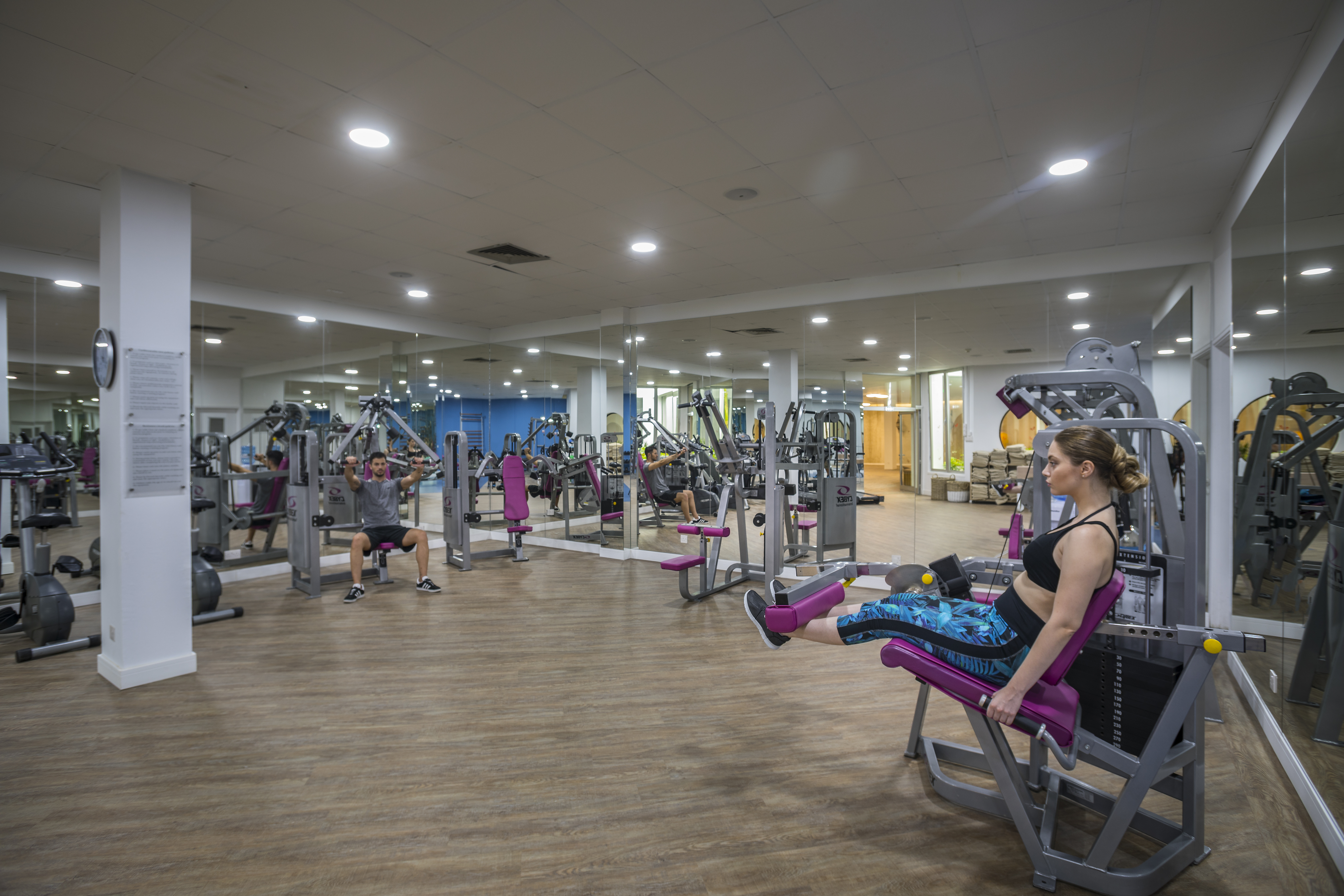 Sports and Entertainment