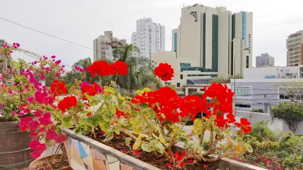 Suite King Bed One Bedroom 