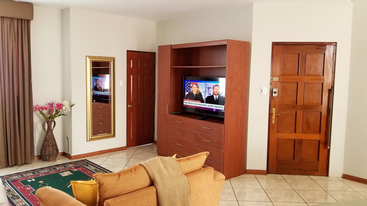 Suite King Bed One Bedroom 