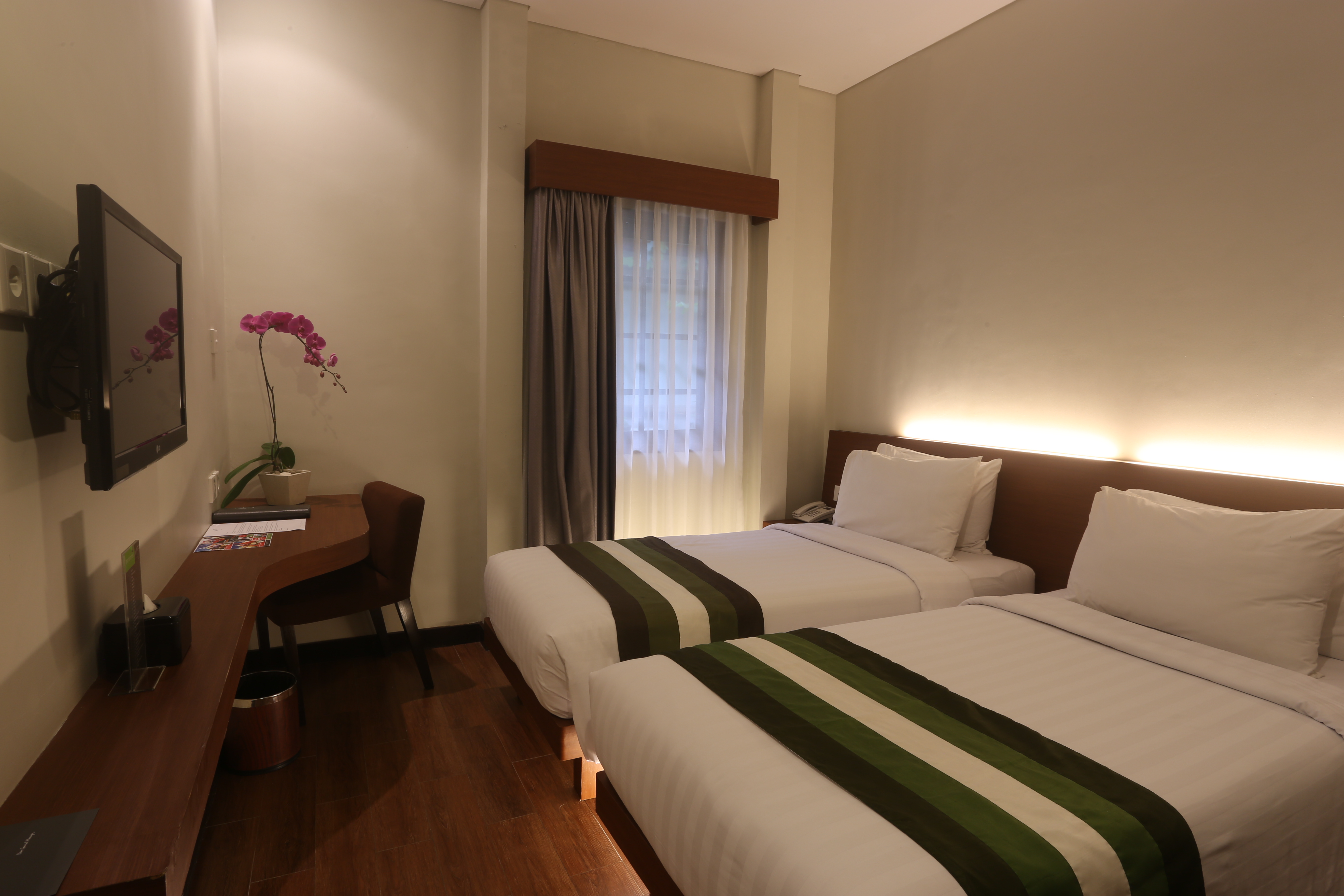 Double or Twin Standard