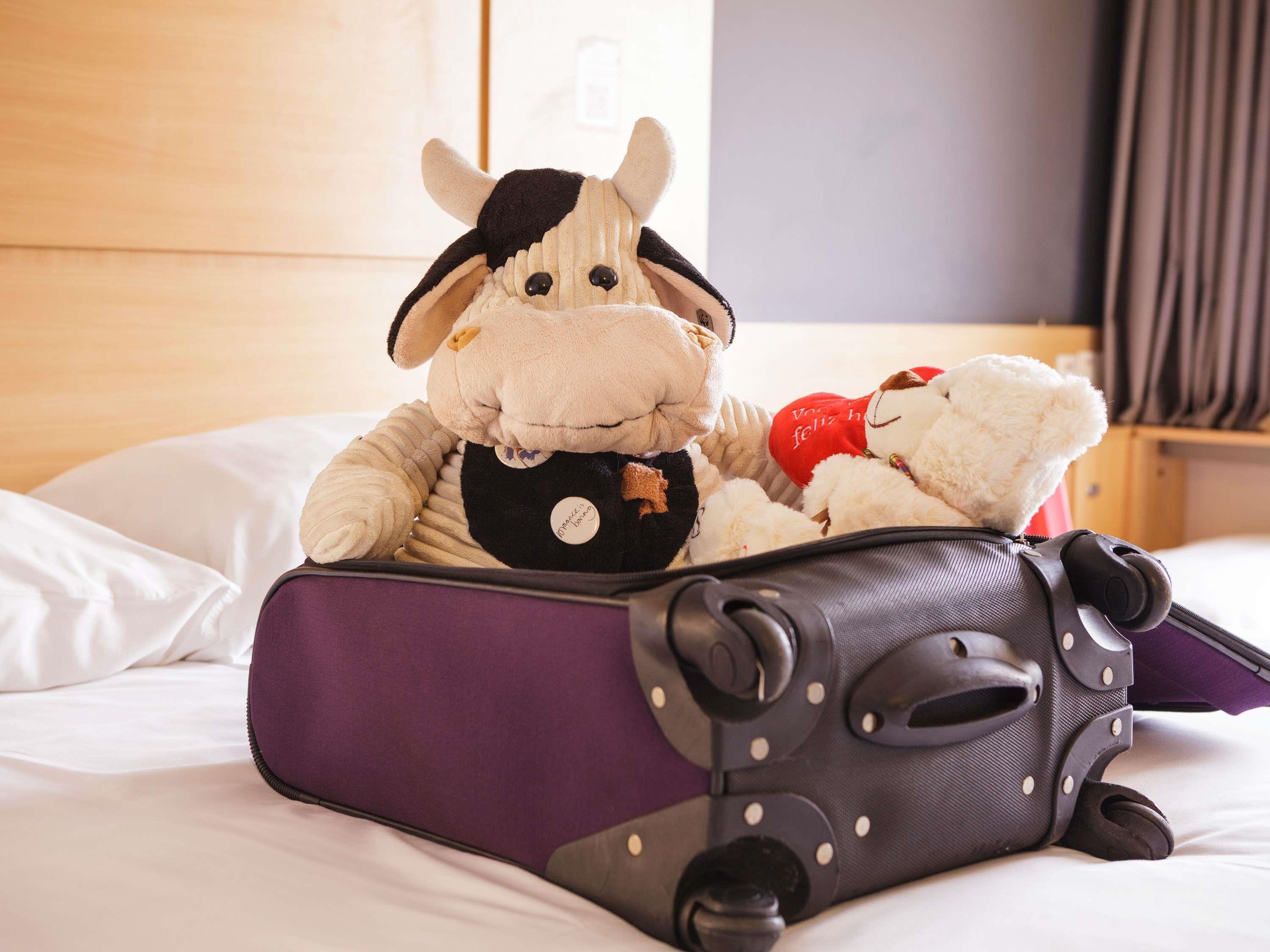 Double Queen Size Bed