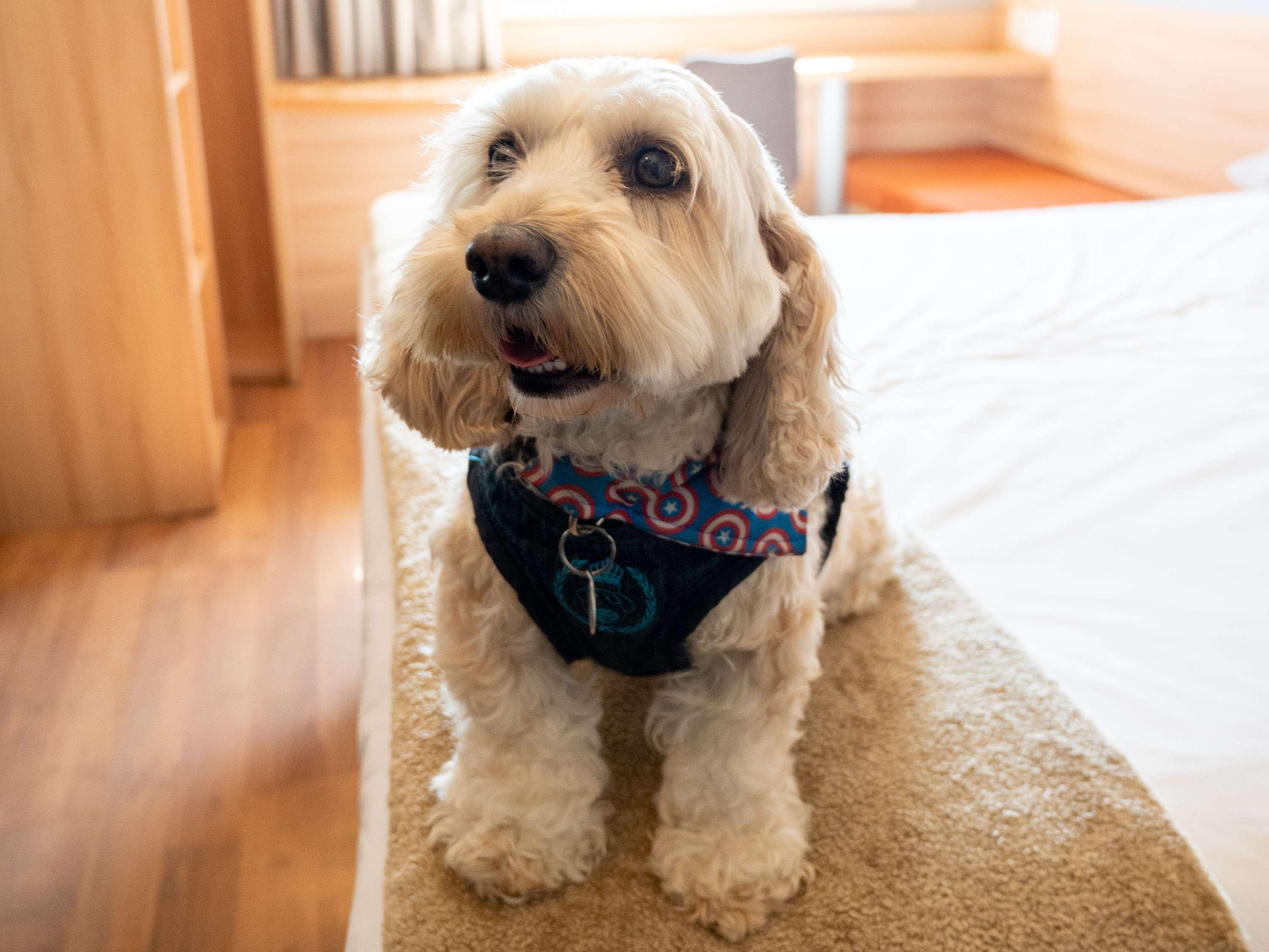 Double with Double Bed