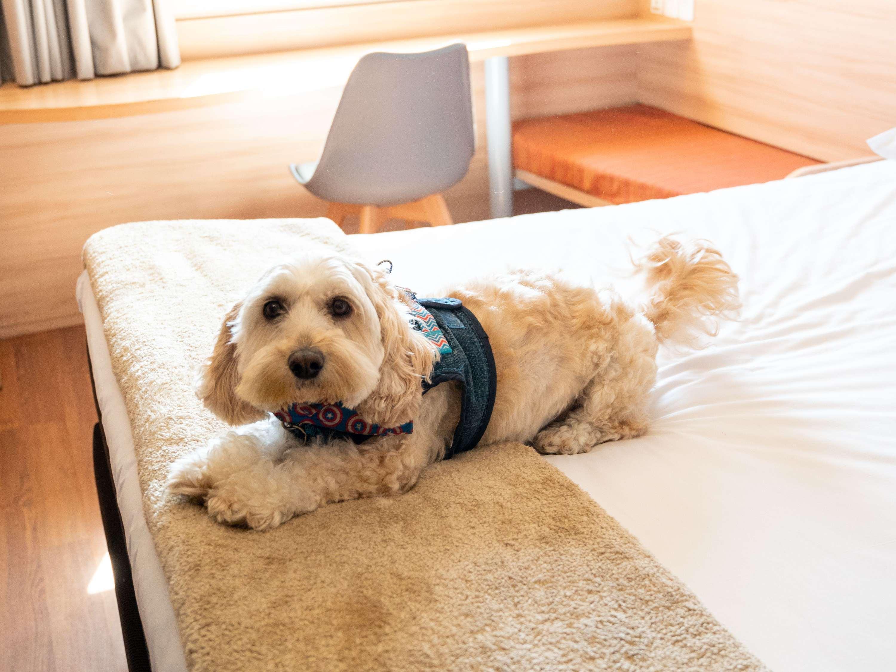 Double with Double Bed