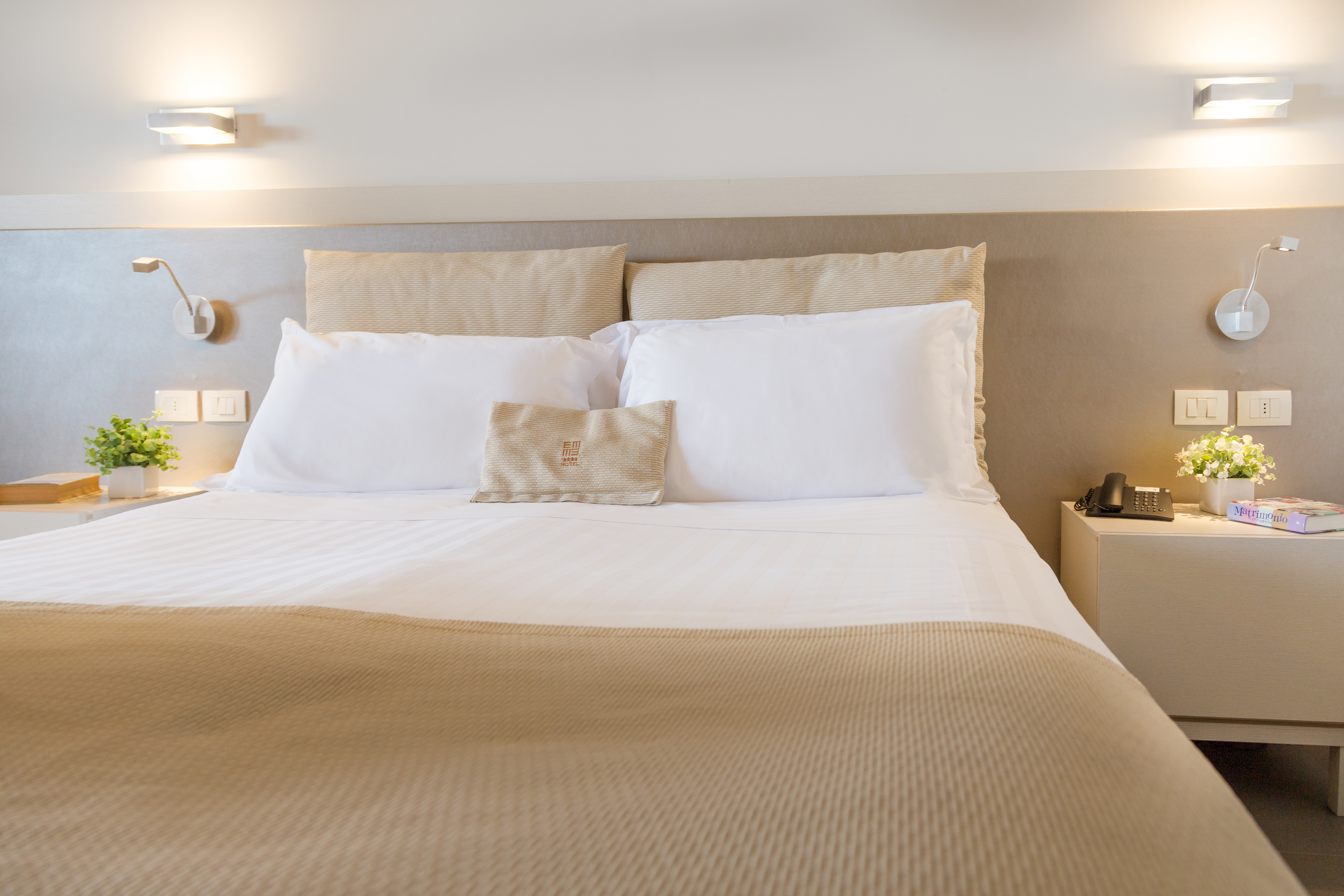 Double or Twin Standard