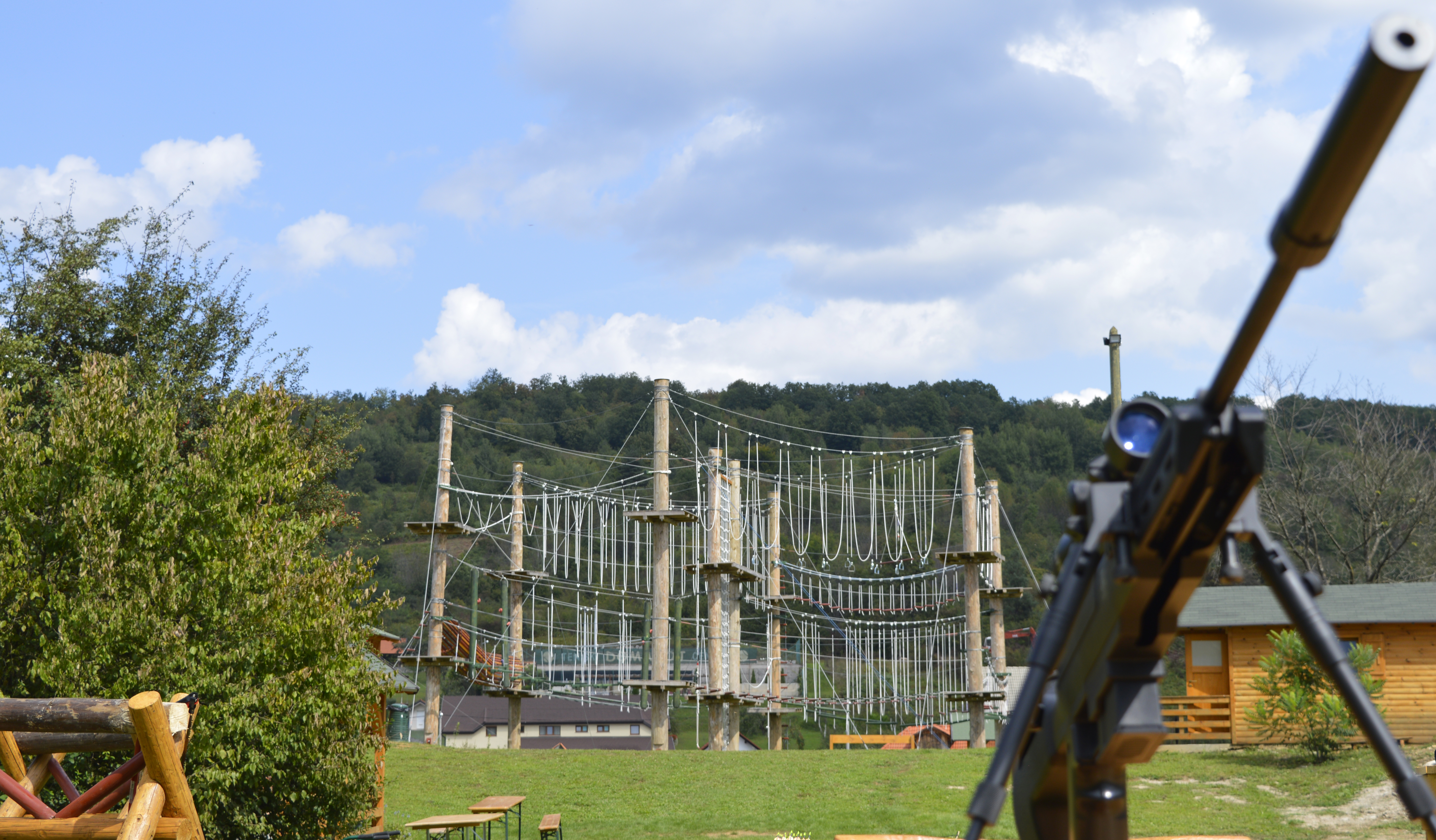 Sports and Entertainment