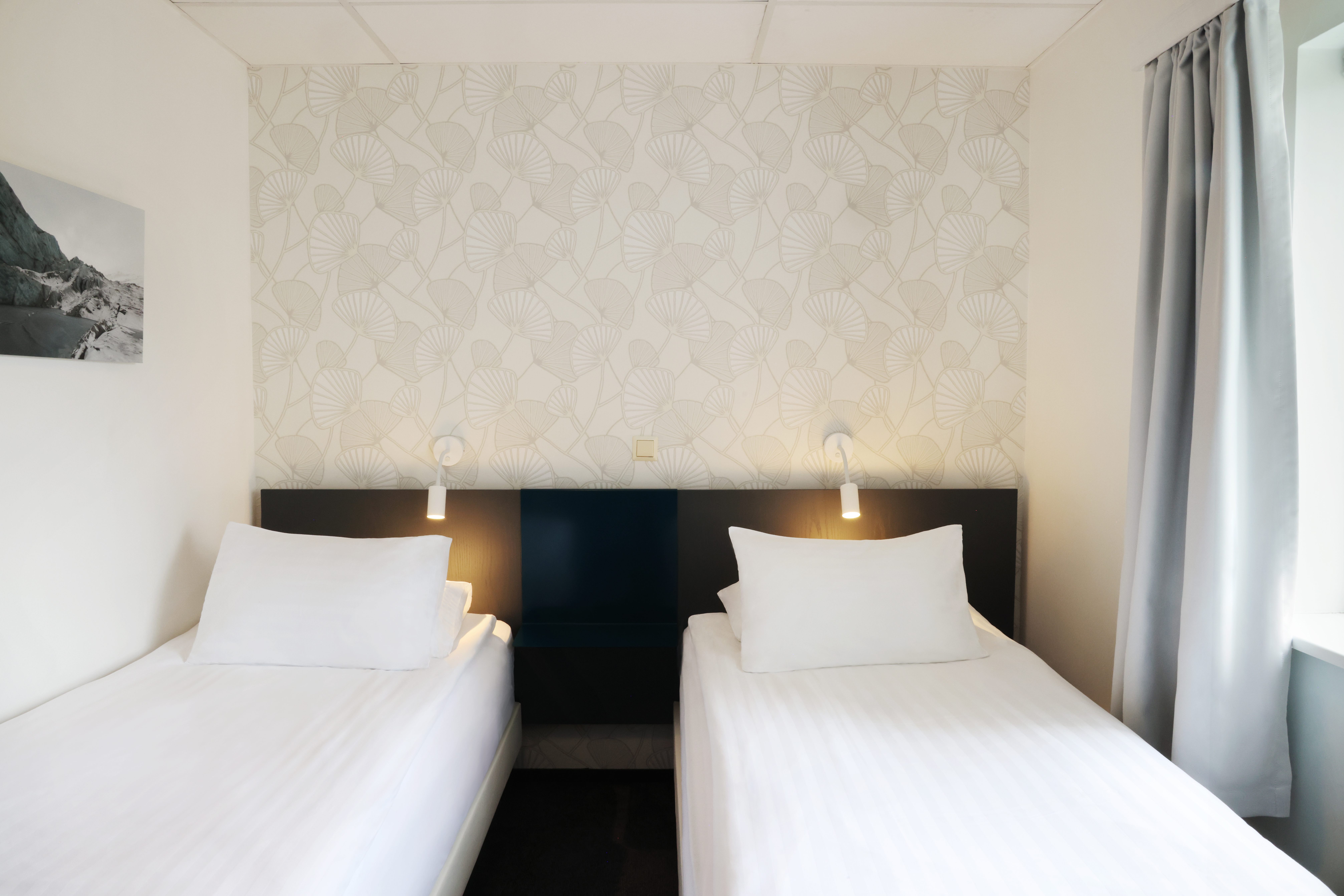 Double Single Economy