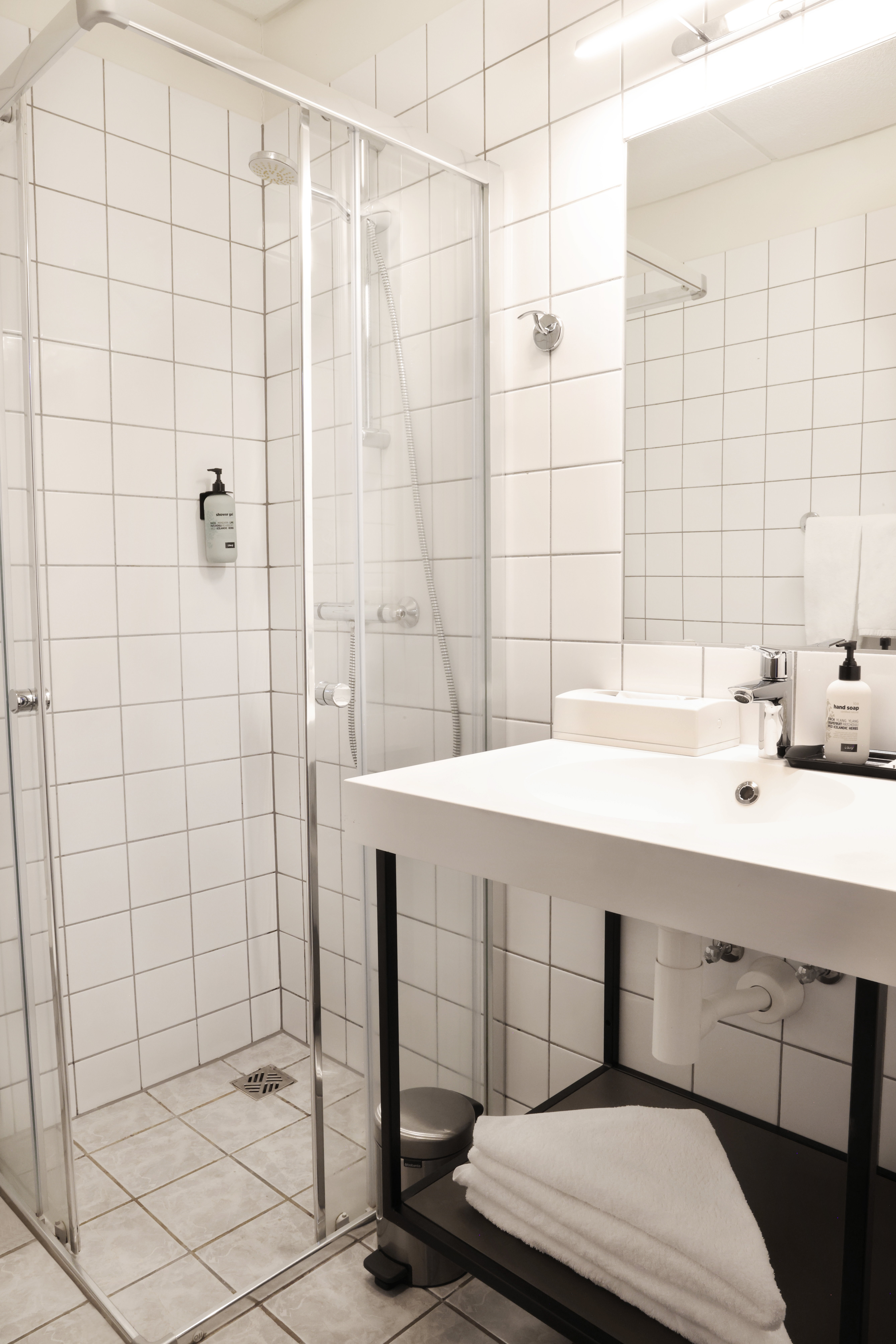 Double Single Economy