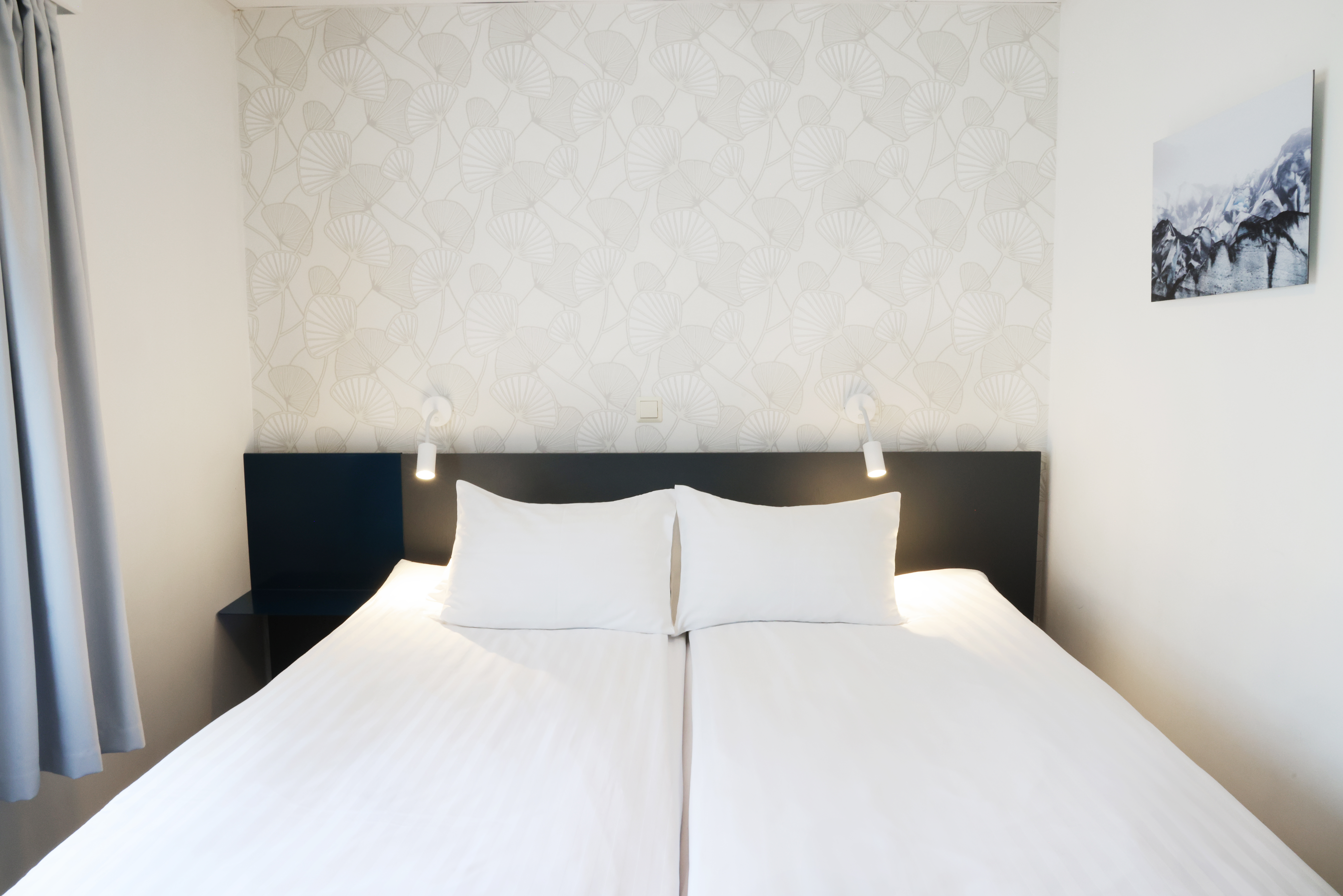 Double Single Economy