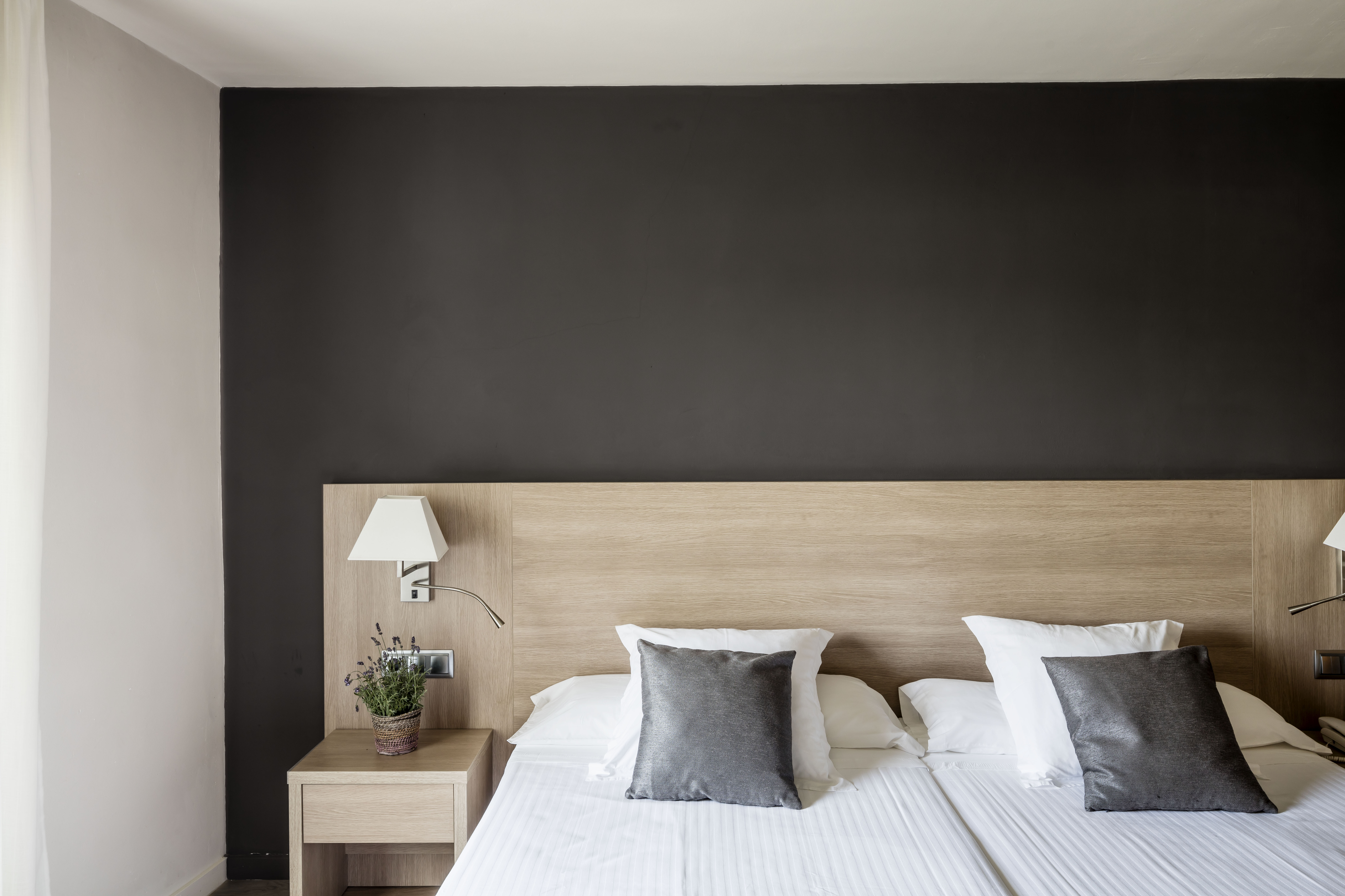 Double or Twin Standard