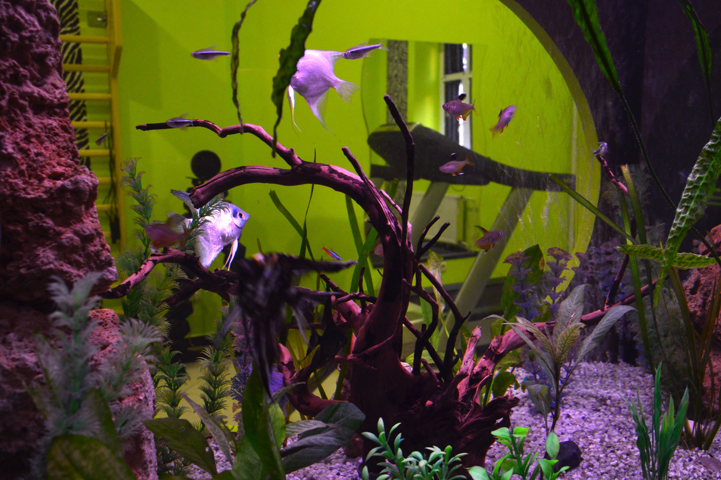 Sports and Entertainment