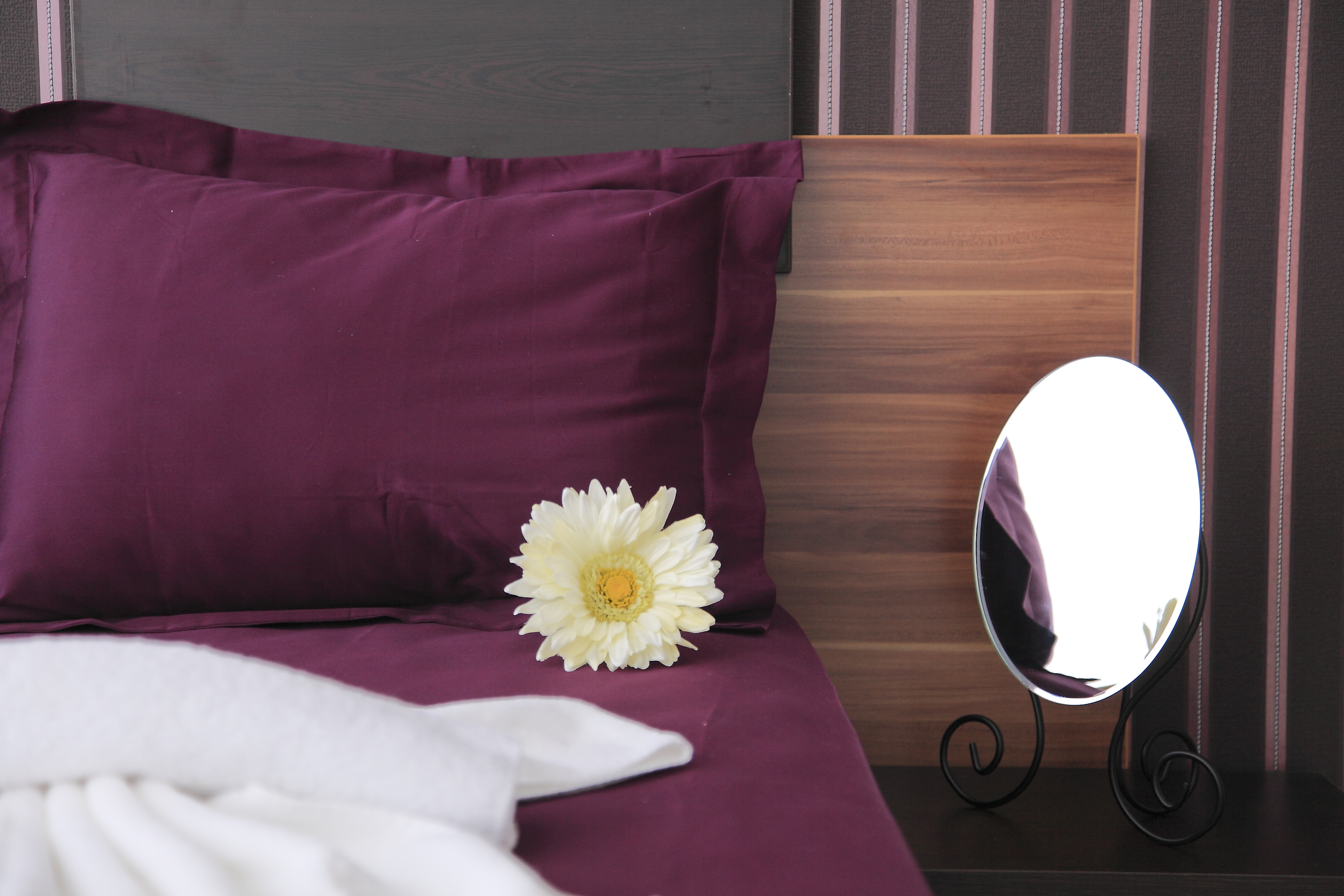 Apartment One Bedroom