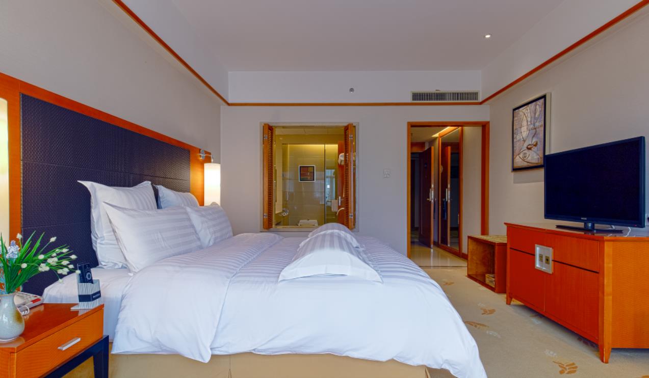 Double Deluxe Executive