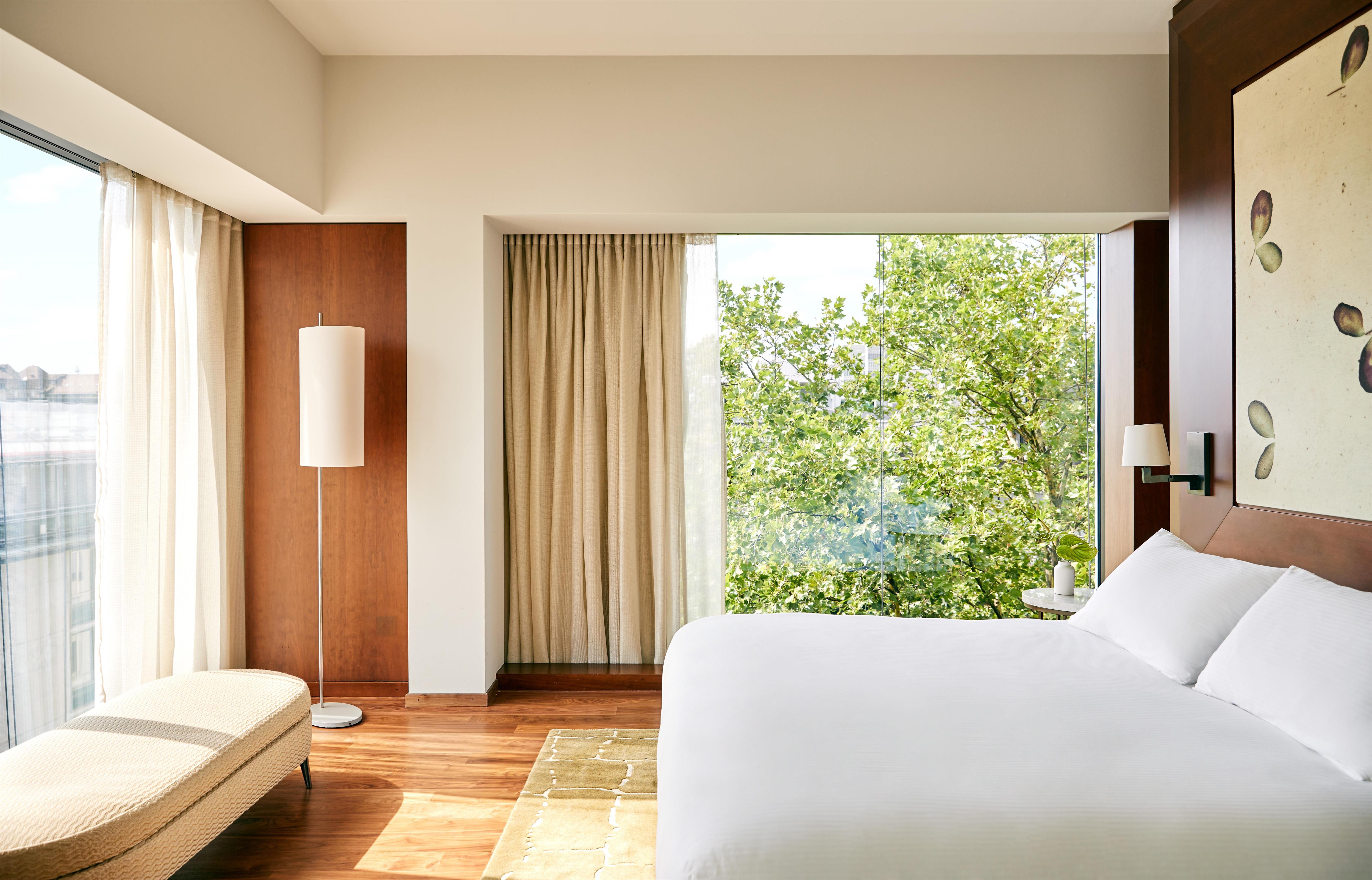 Suite Deluxe