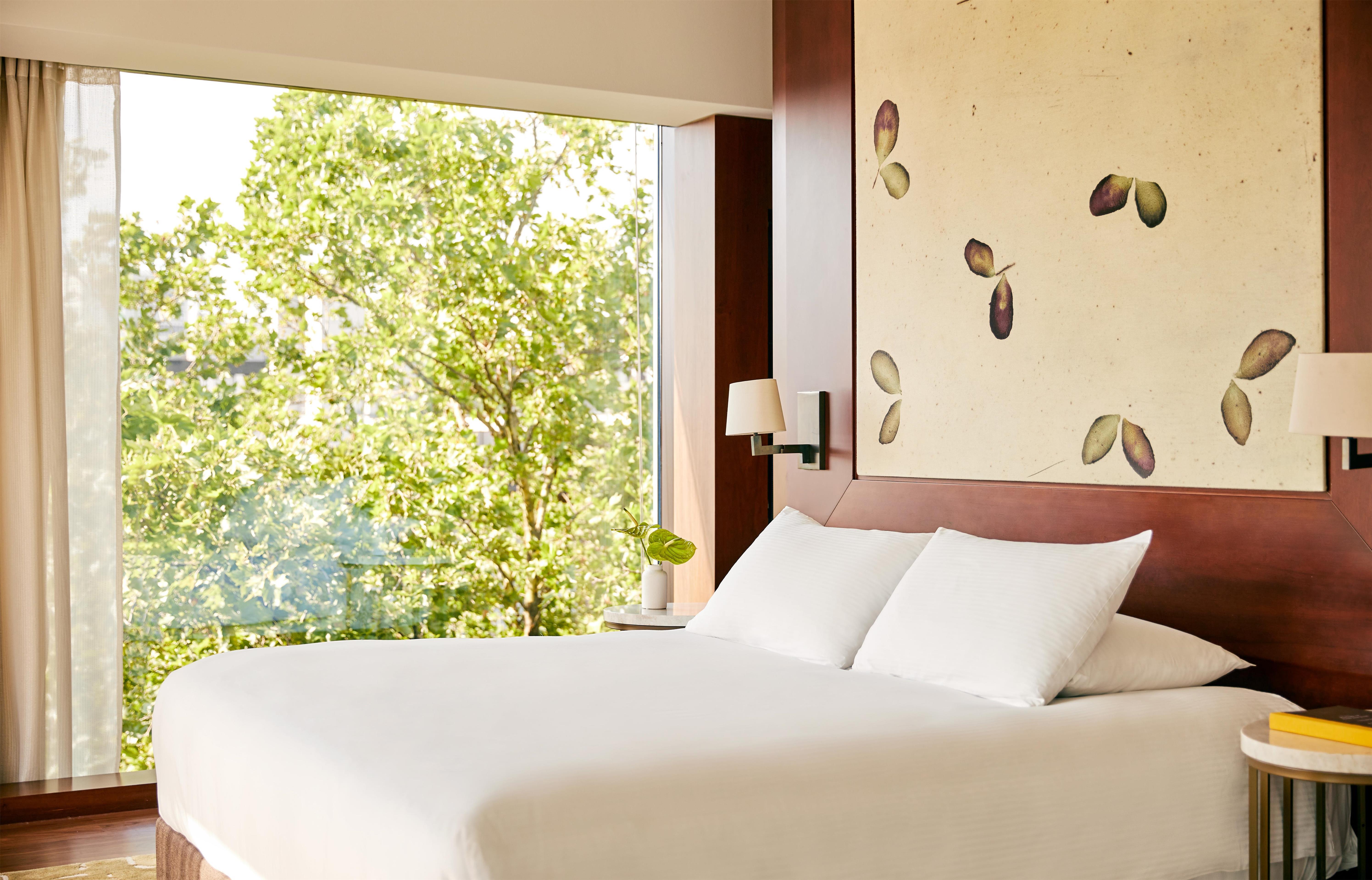 Suite Deluxe