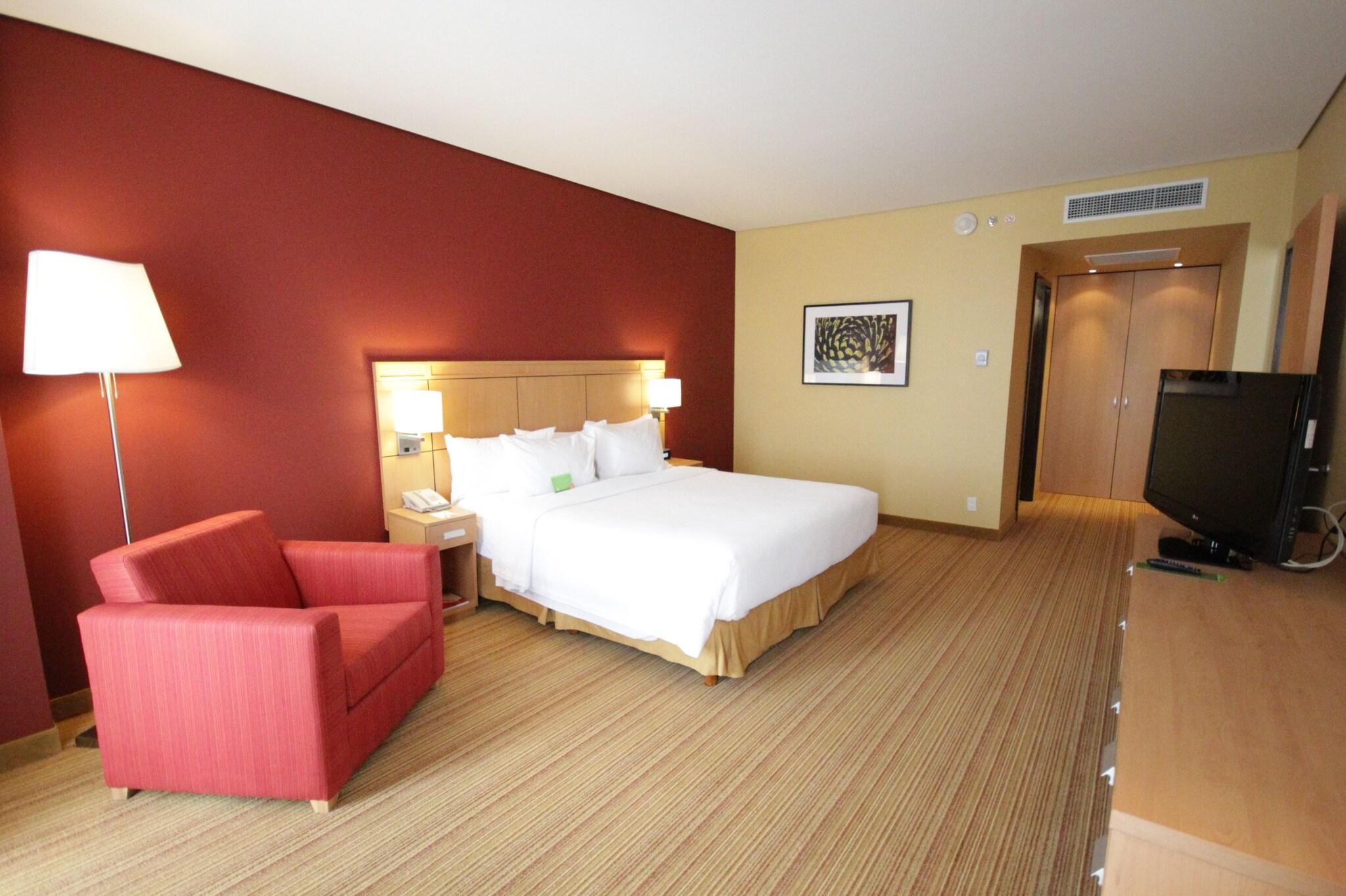 Suite King Bed One Bedroom 