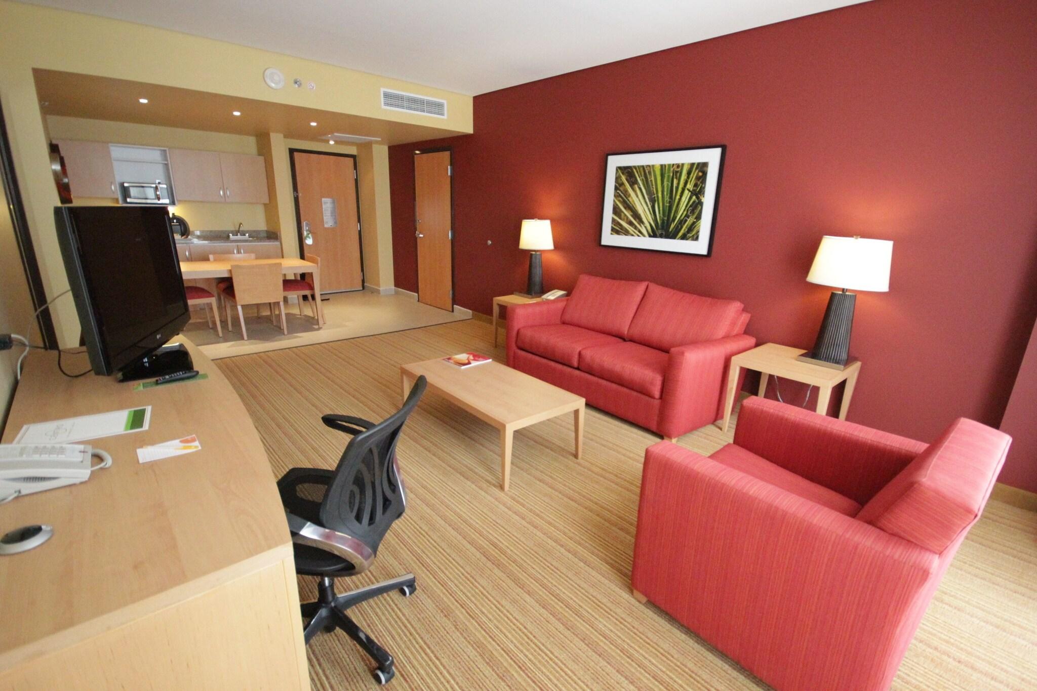 Suite King Bed One Bedroom 