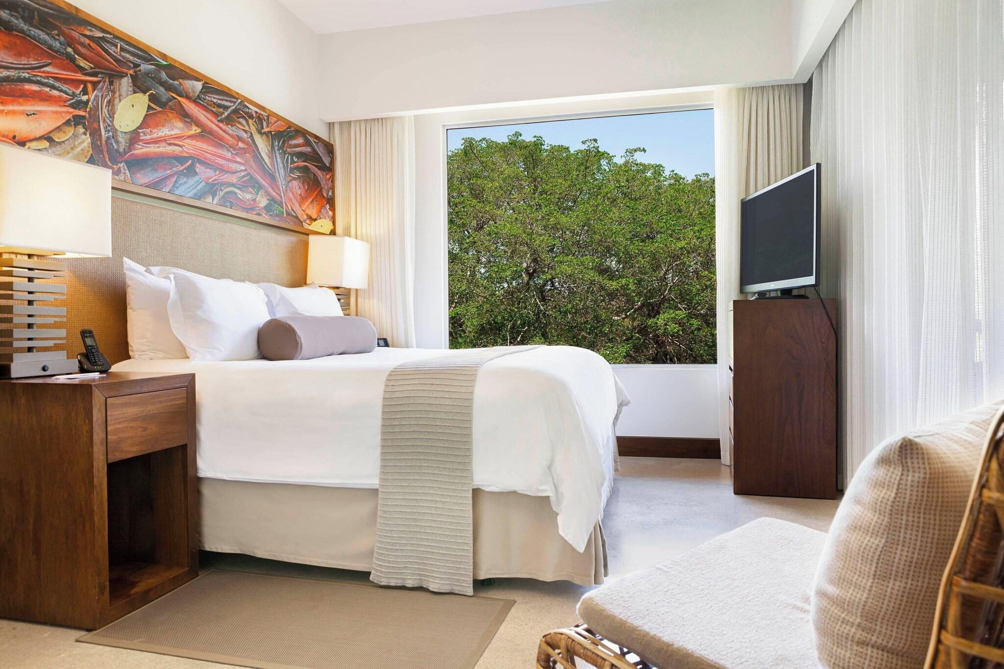 Suite Superior One Bedroom