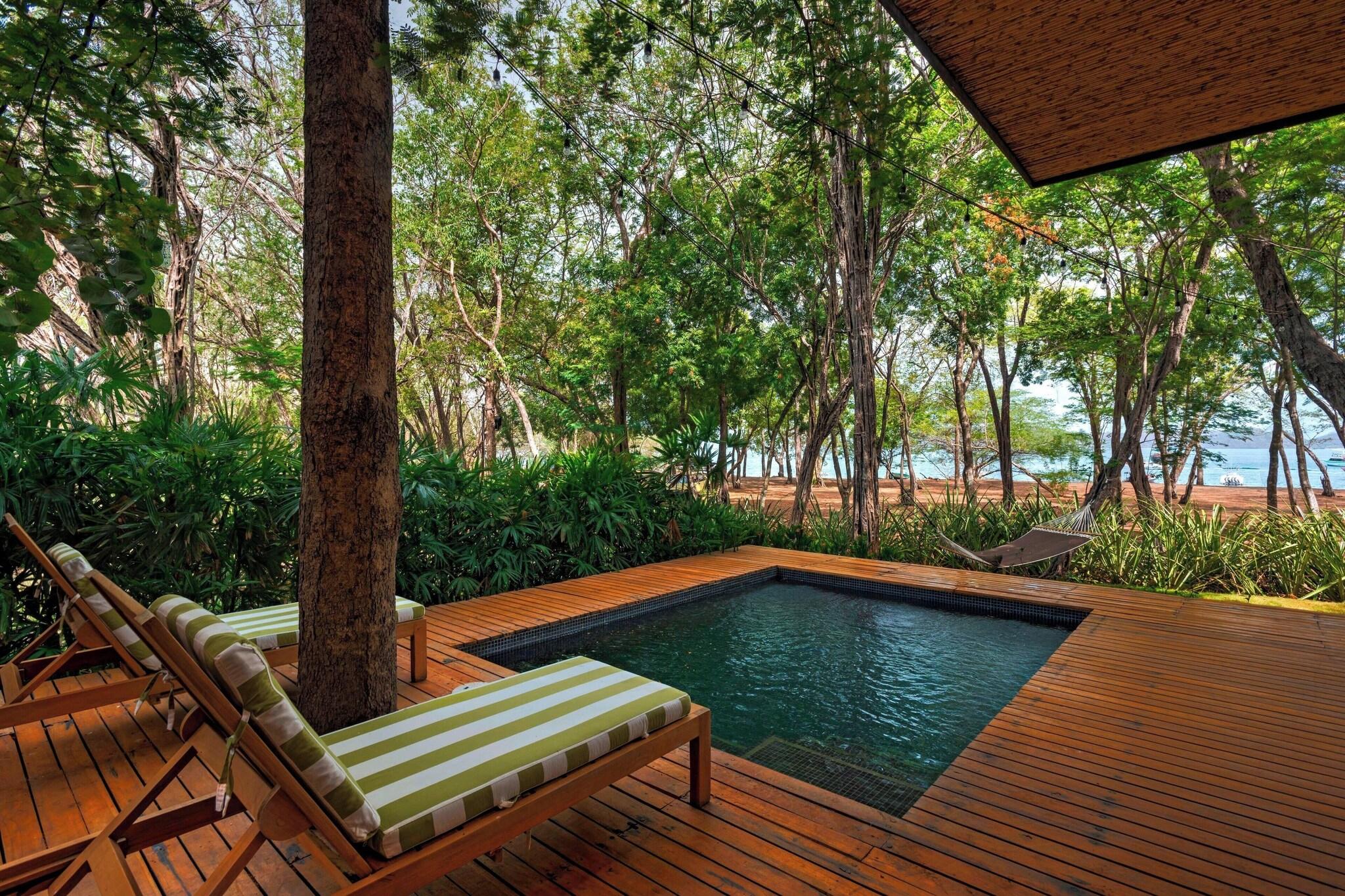 Suite Presidential with Views