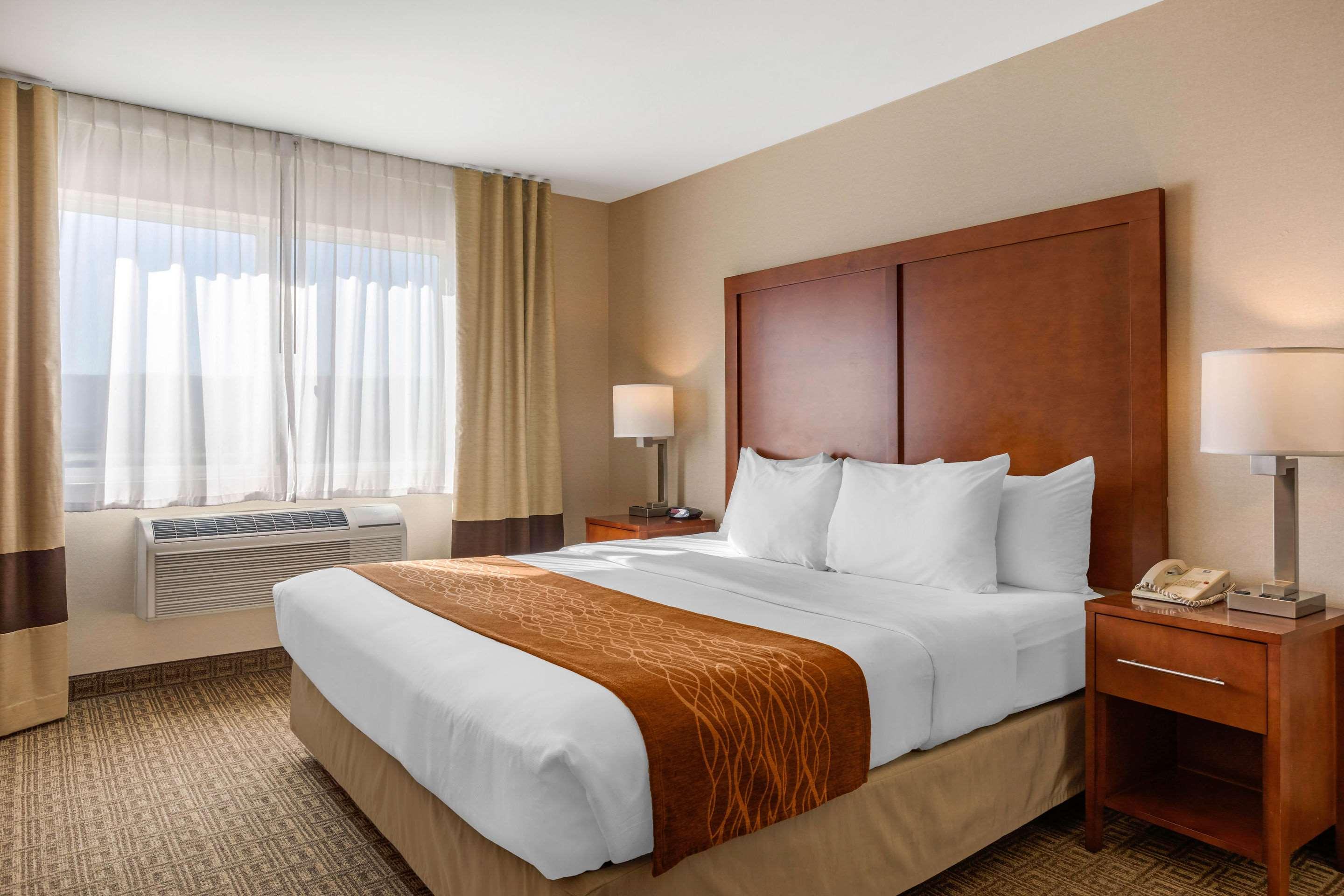 Suite King Bed Non Smoking