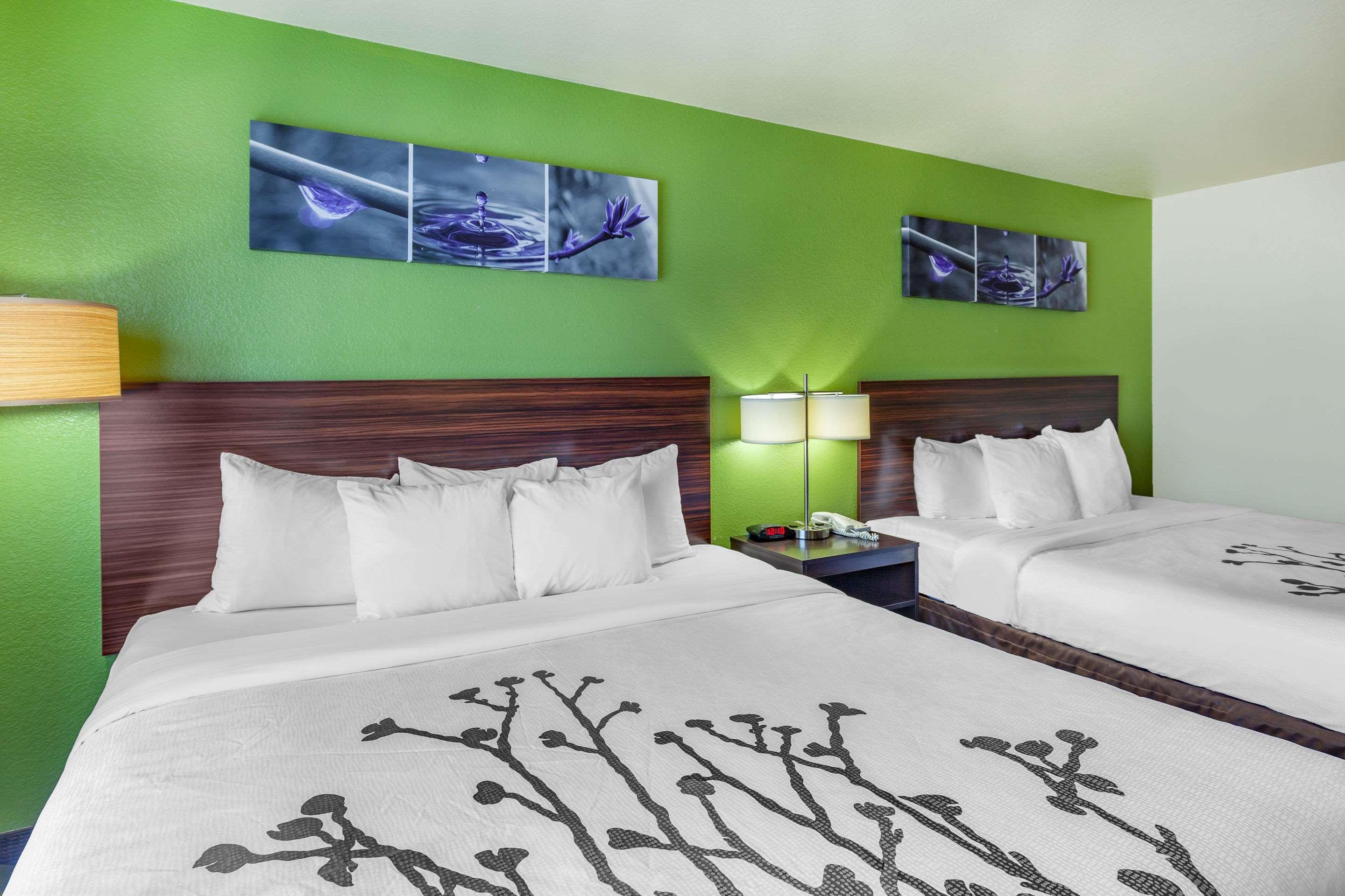 Double Two King Beds