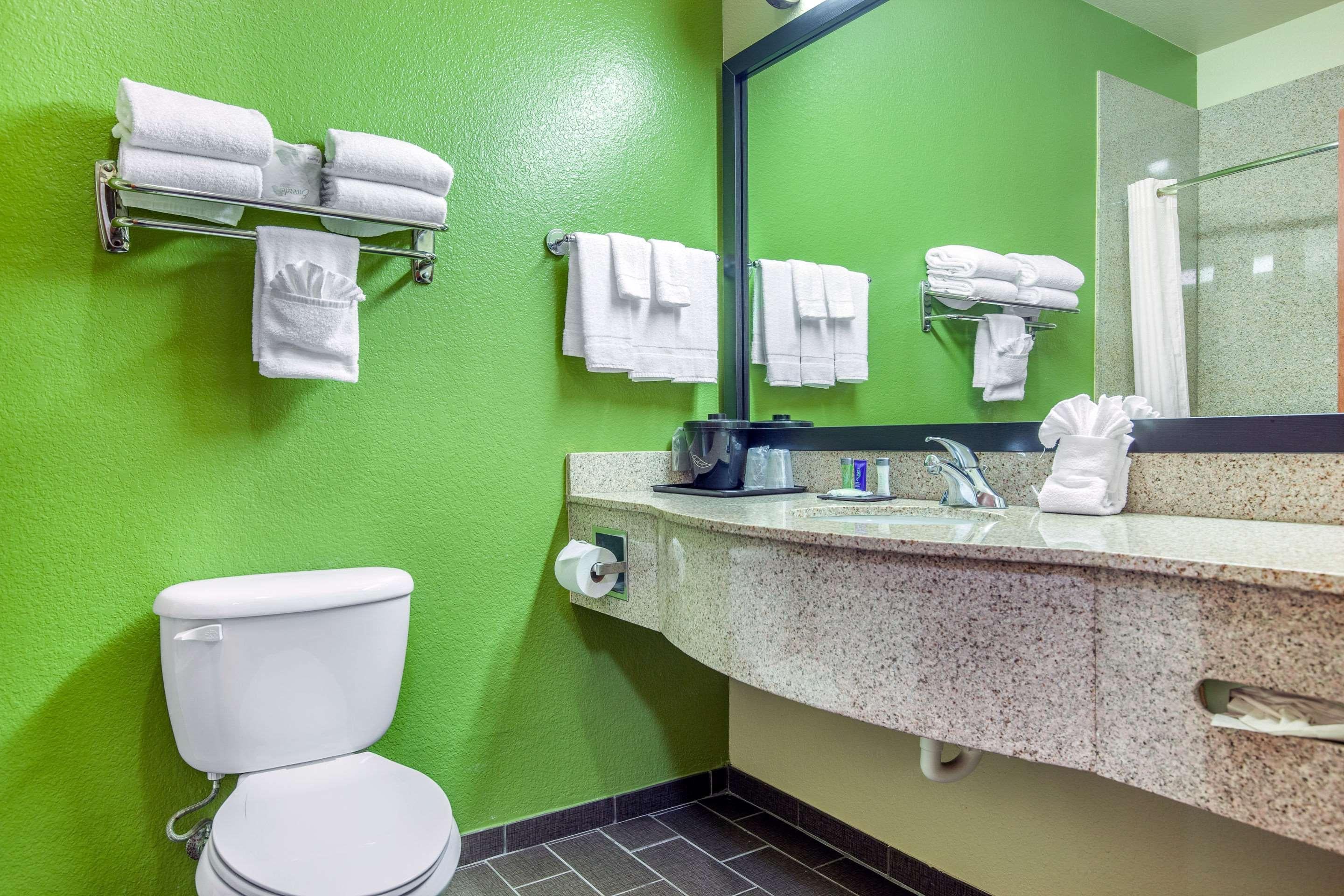 Suite King Bed Non Smoking