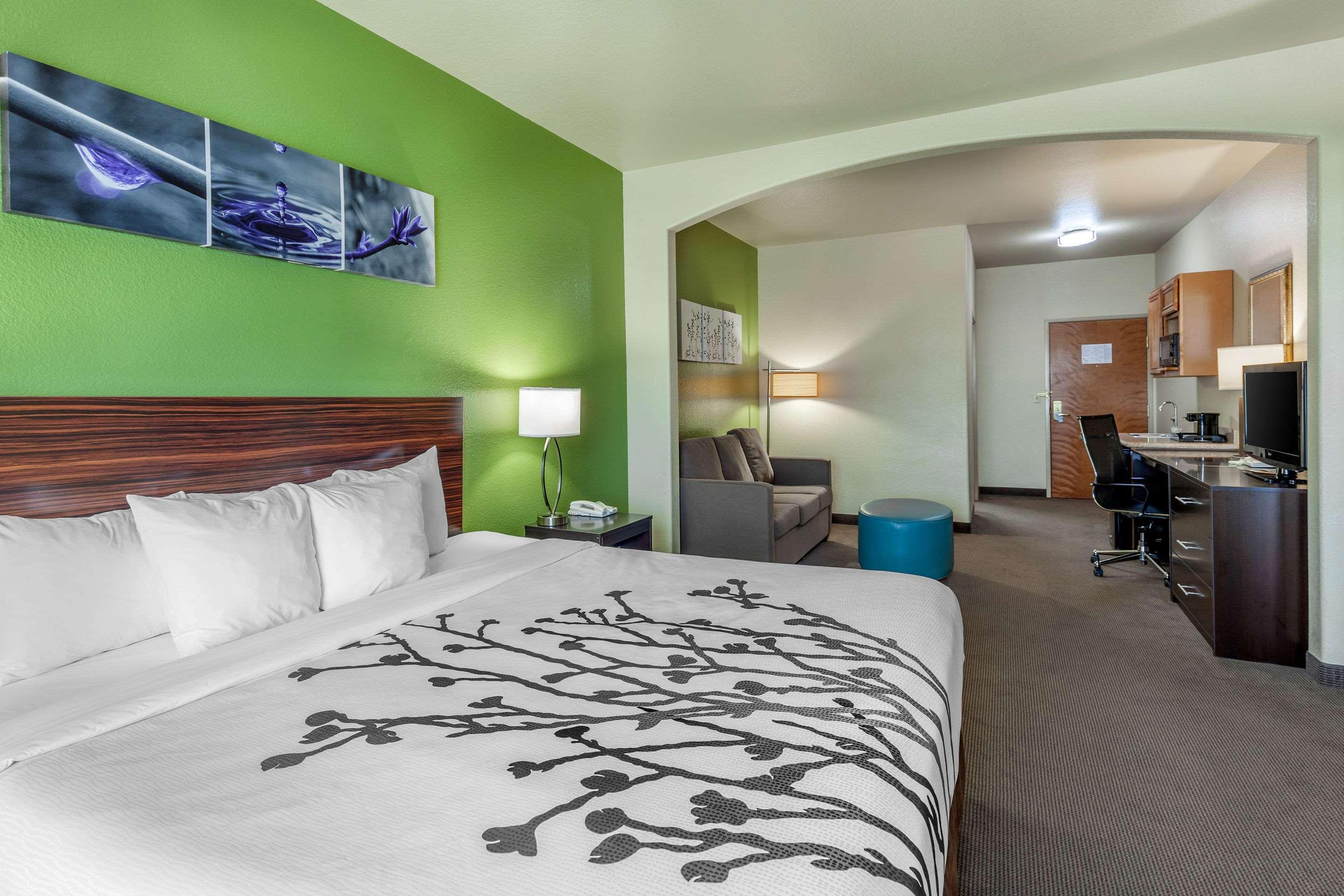 Suite King Bed Non Smoking