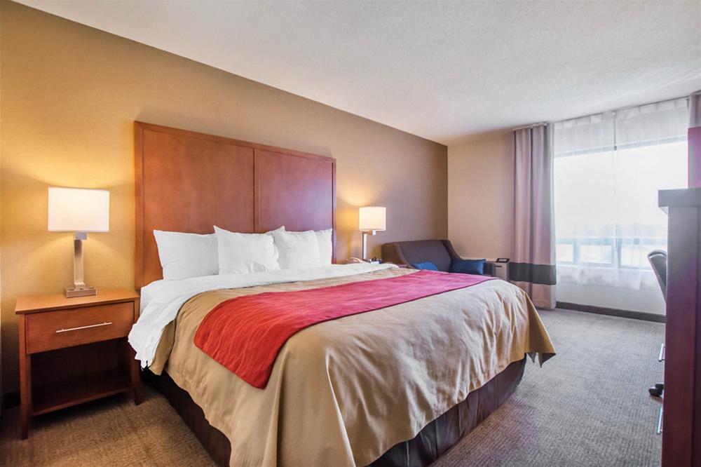 Double Queen Size Bed